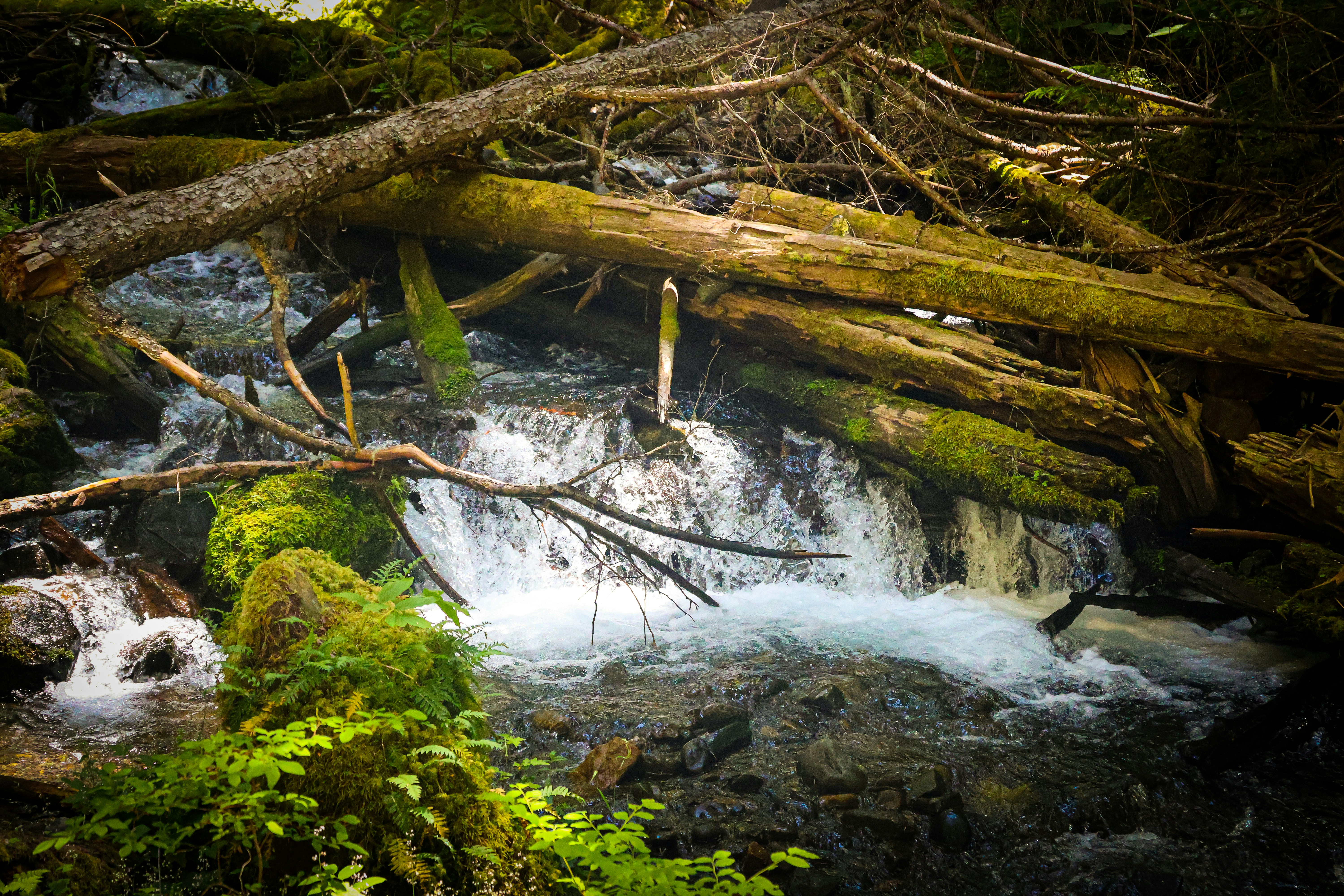 Photo by traveleroohlala