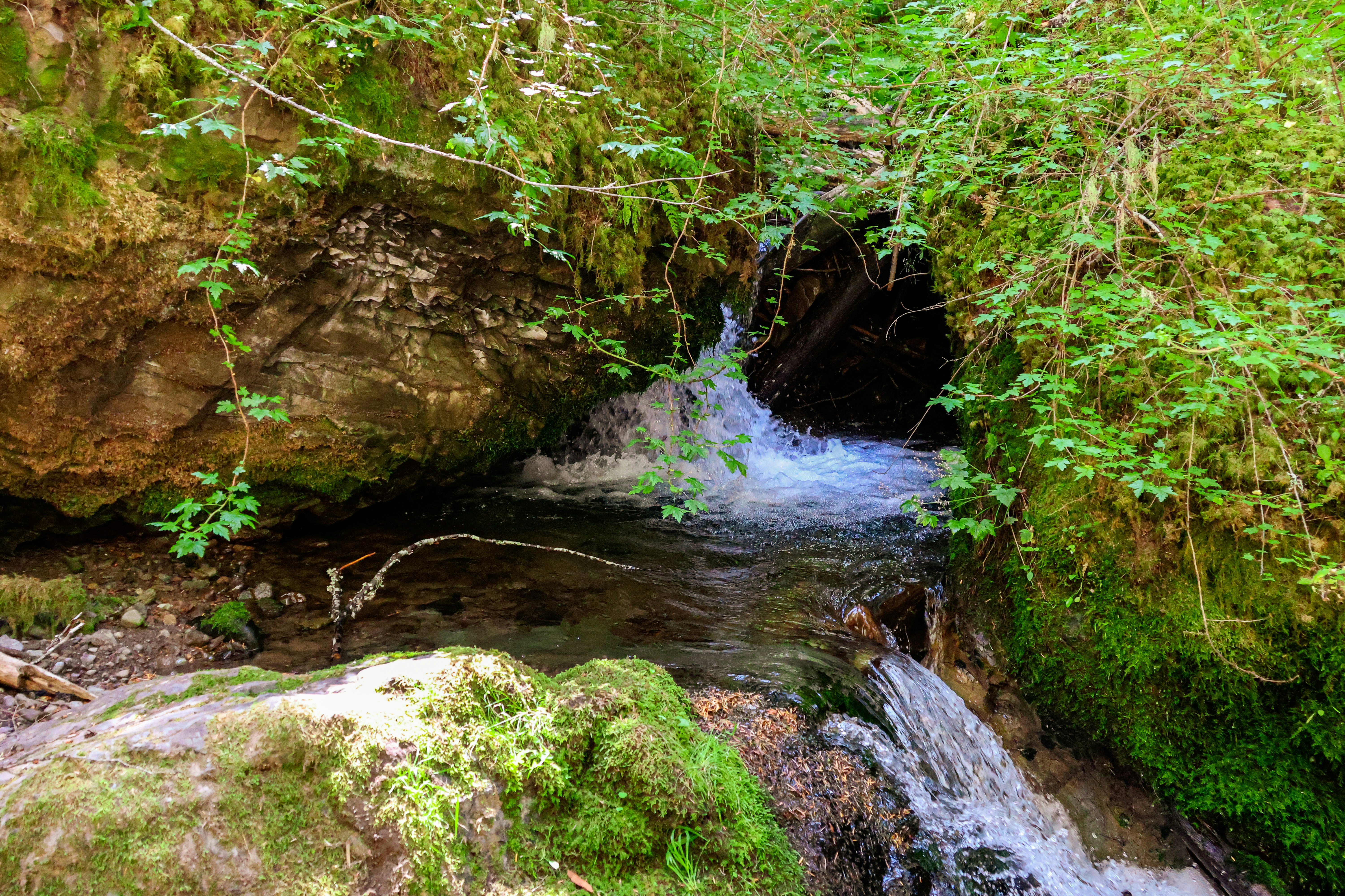 Photo by traveleroohlala