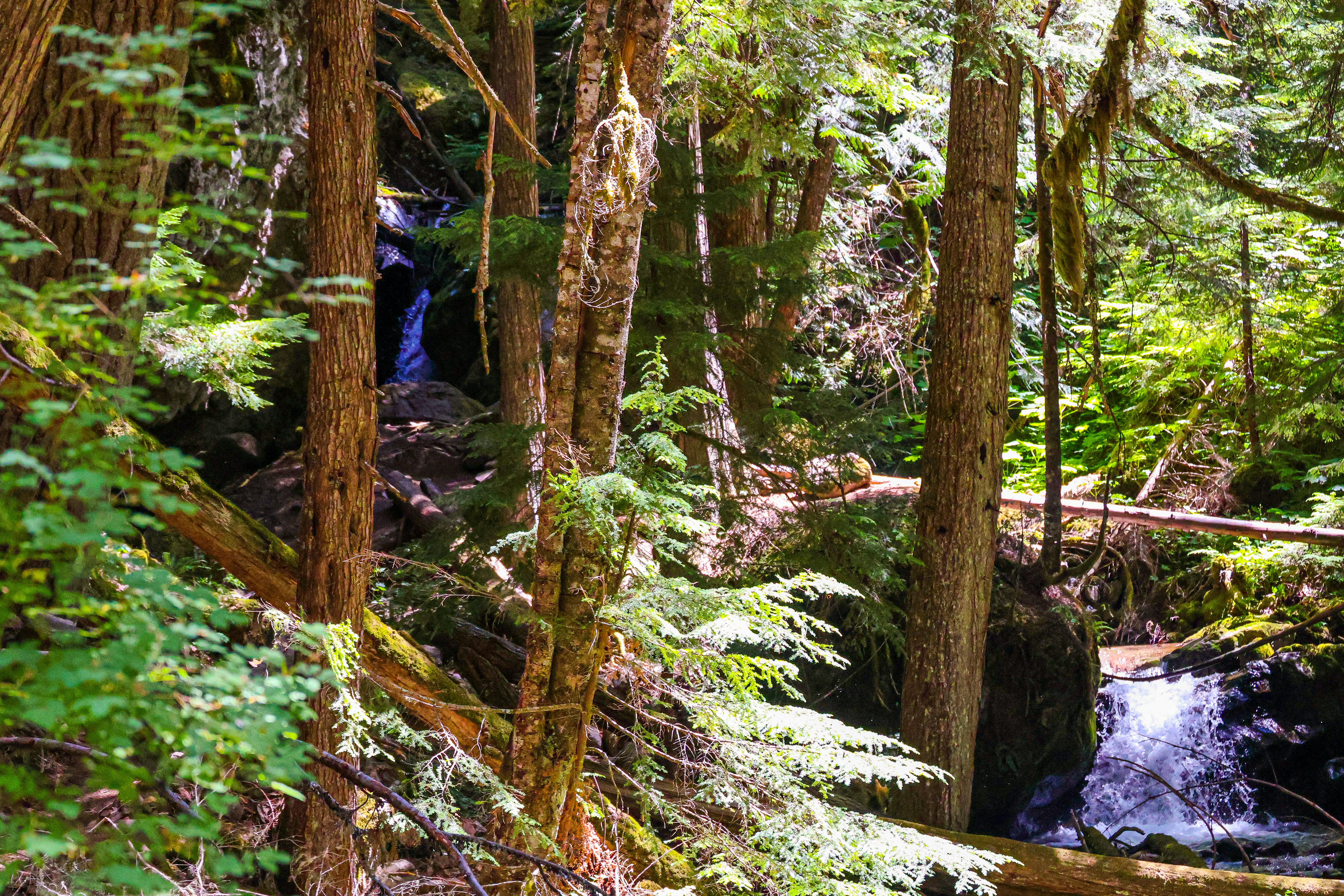 Photo by traveleroohlala