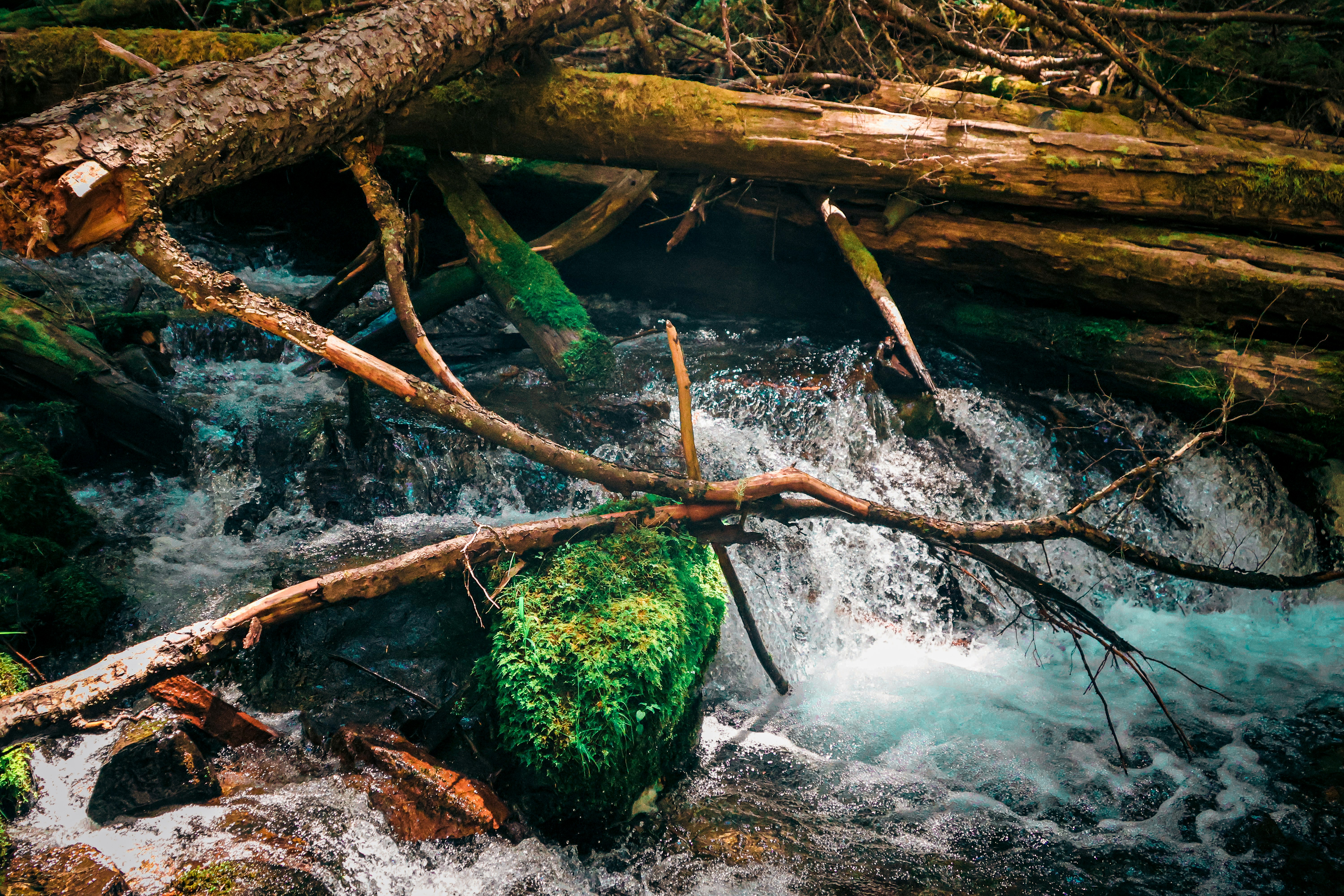 Photo by traveleroohlala