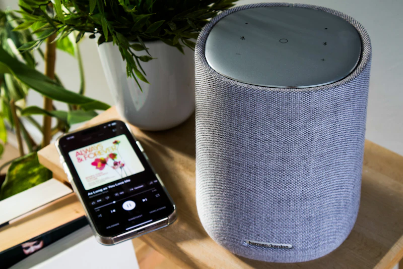 Smart home speaker and smartphone