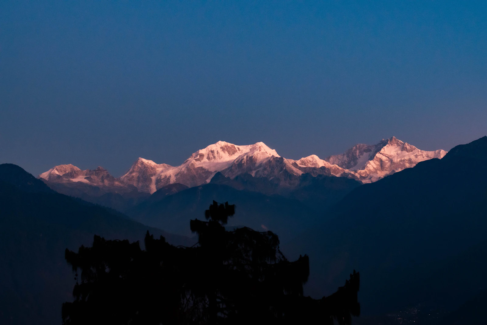 Kanchenjunga's snow peaks catching pink first light above dark forested ridges, seen from Pelling