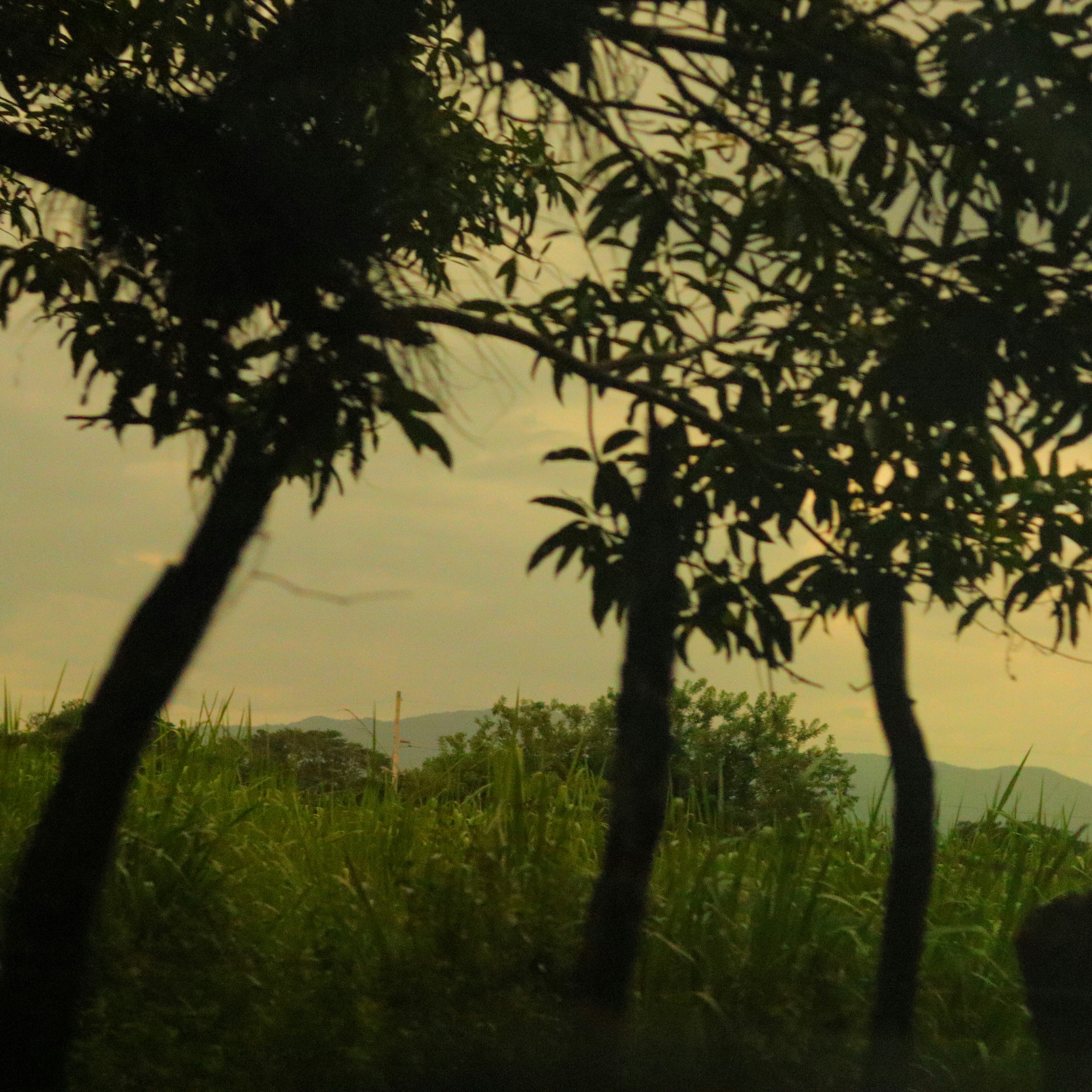 Photo by arrowtipproductions