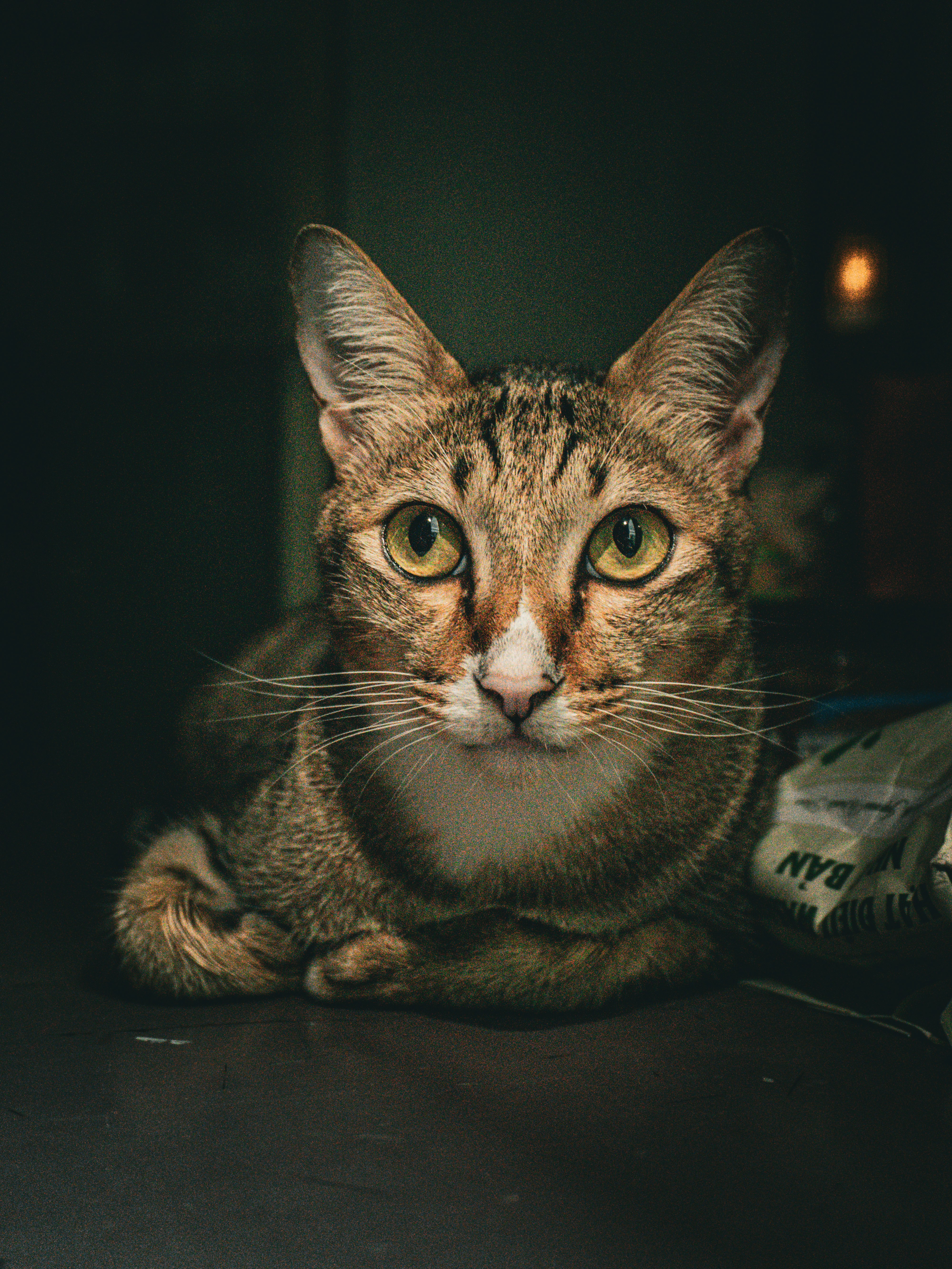 Photo by phillip_212