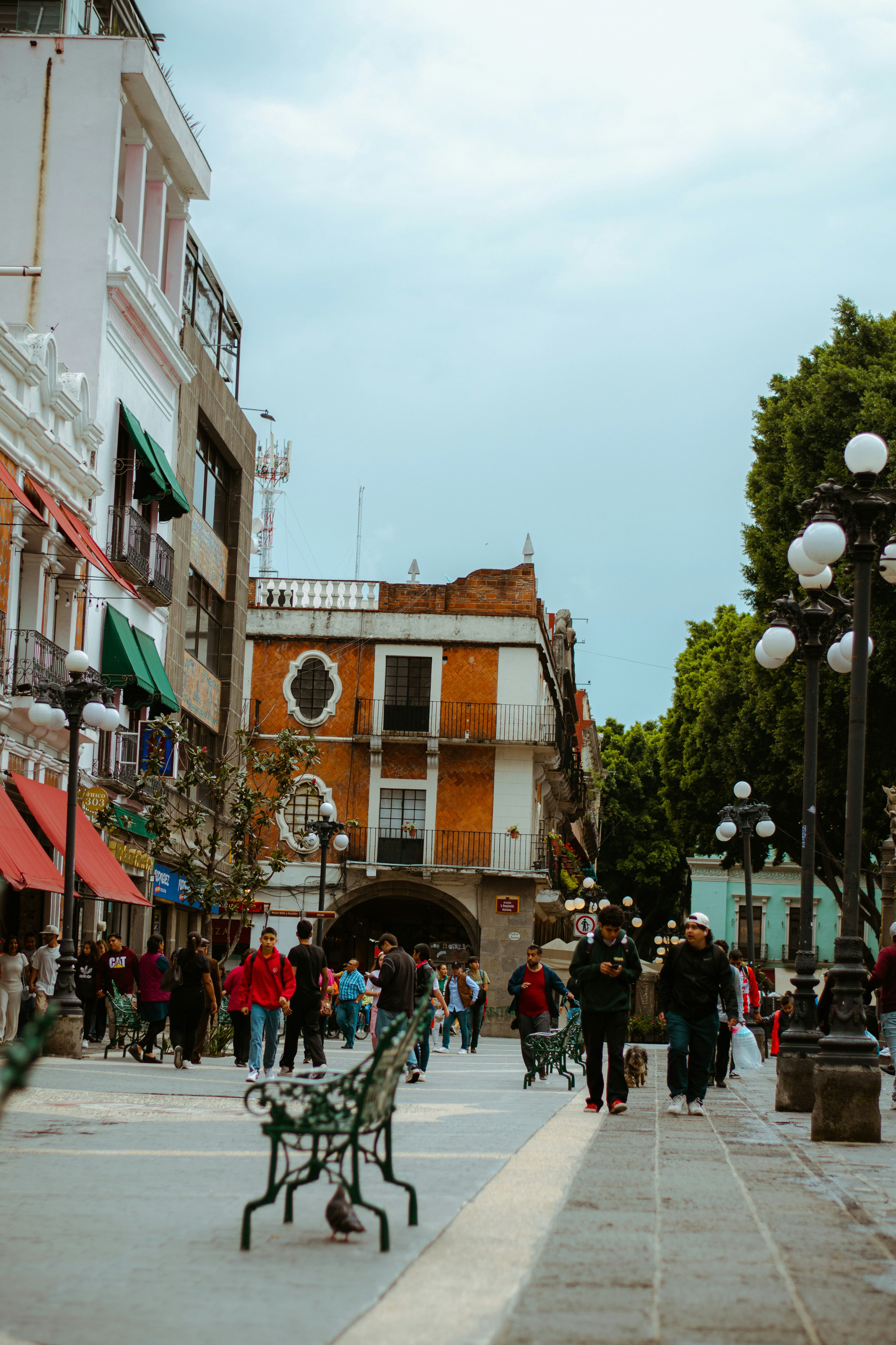 Photo by cesaroneill