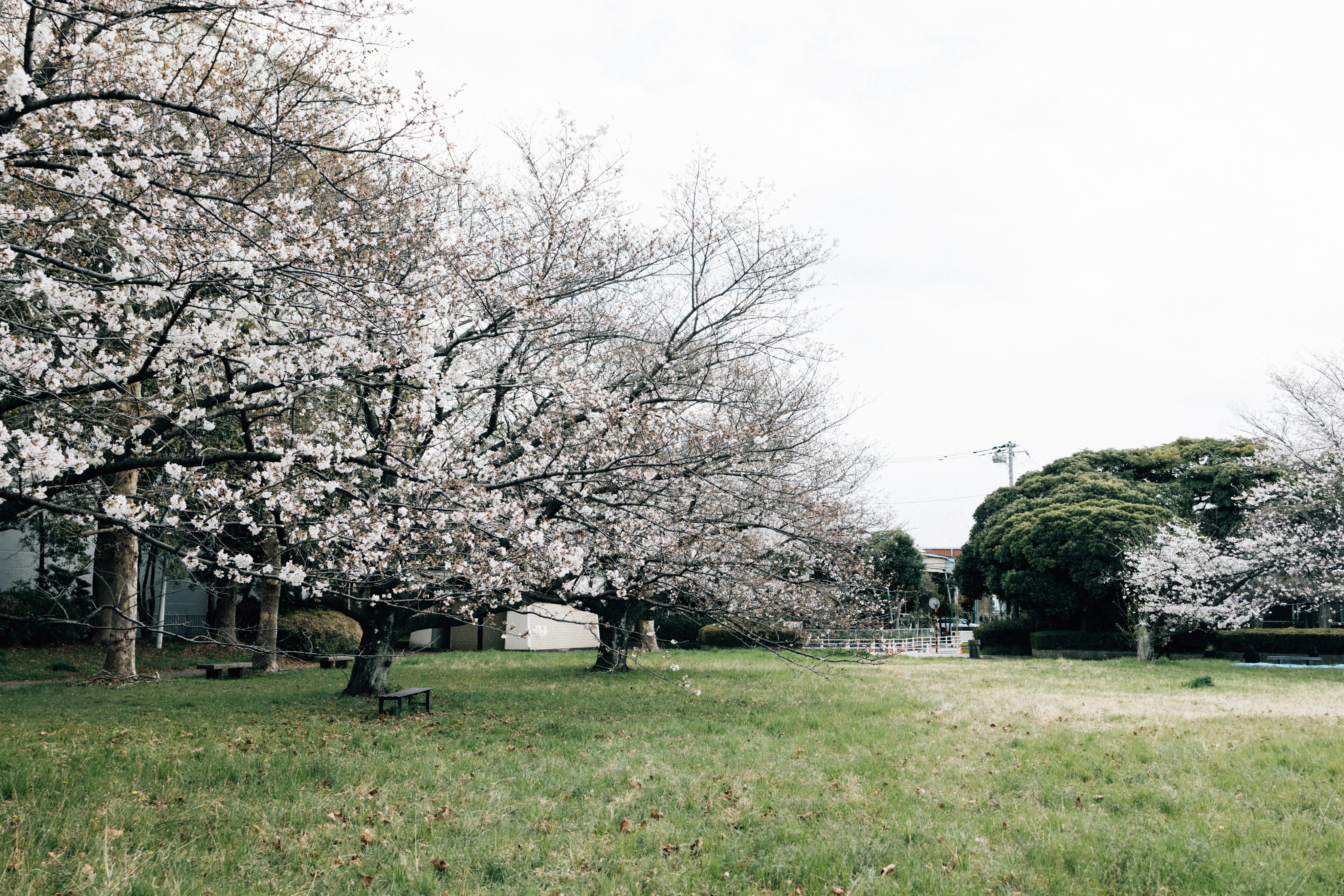 Photo by tsuyoshikozu