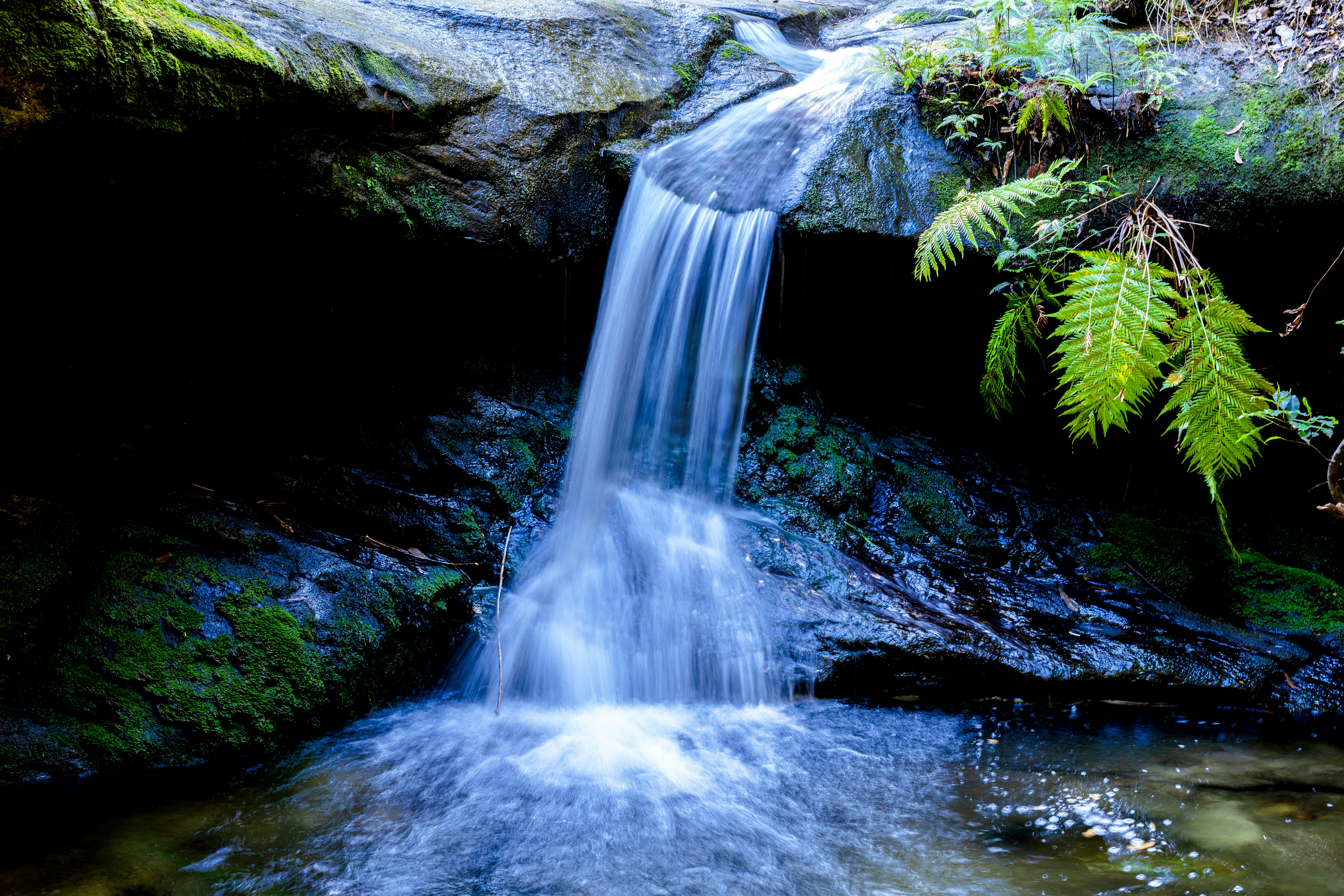 A small waterfall cascades into a calm pool.