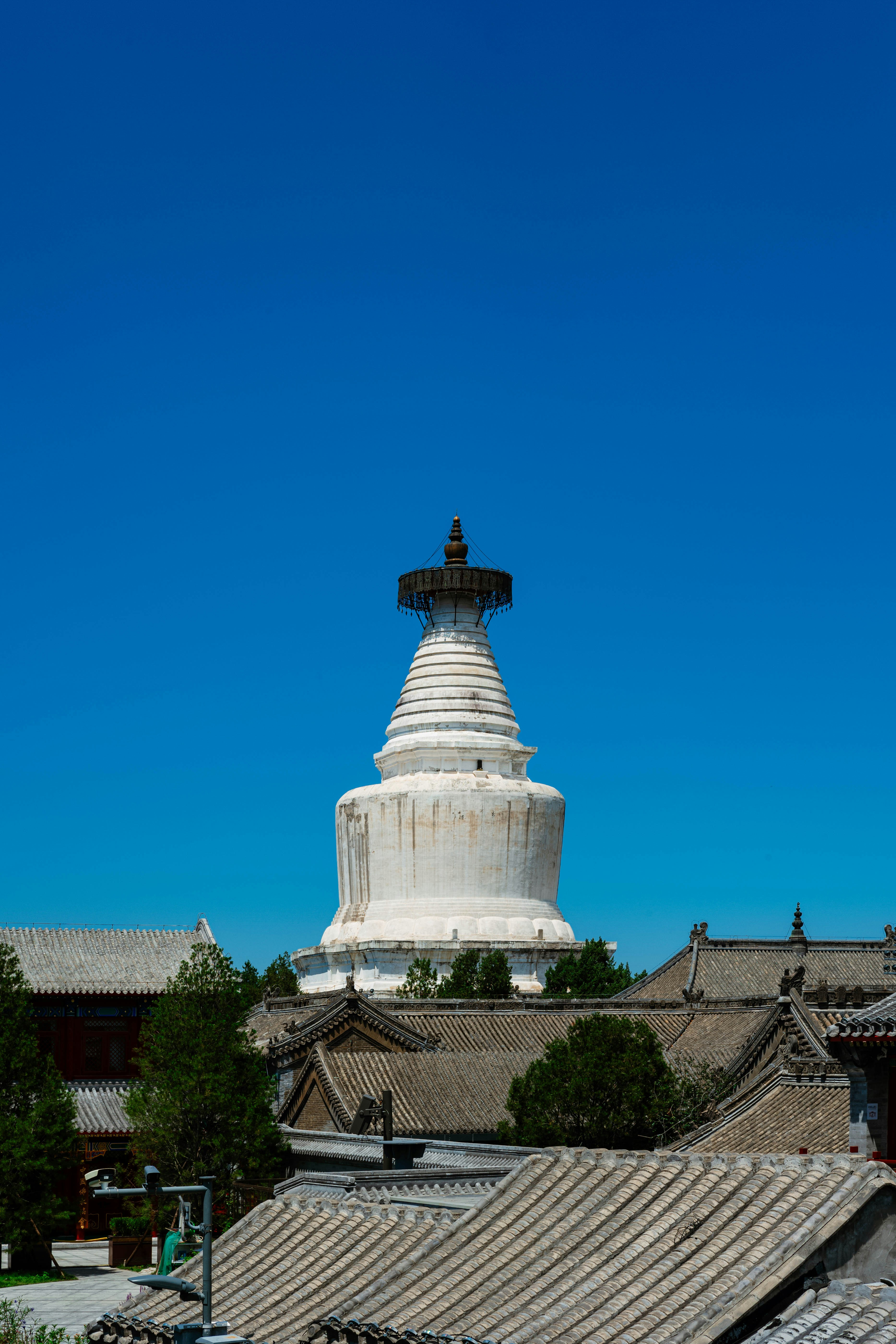 Photo by tommaomaoer