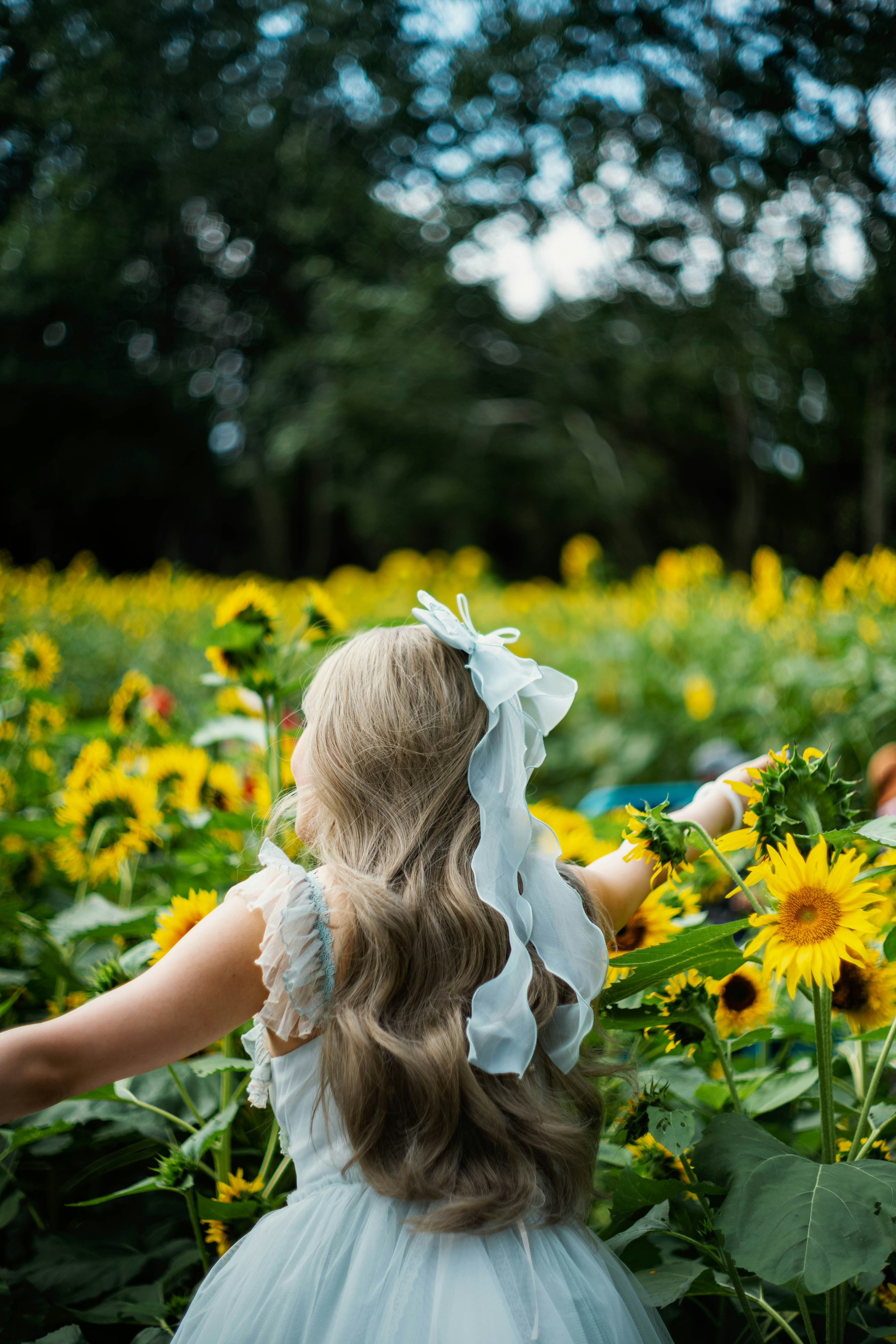 Photo by tommaomaoer