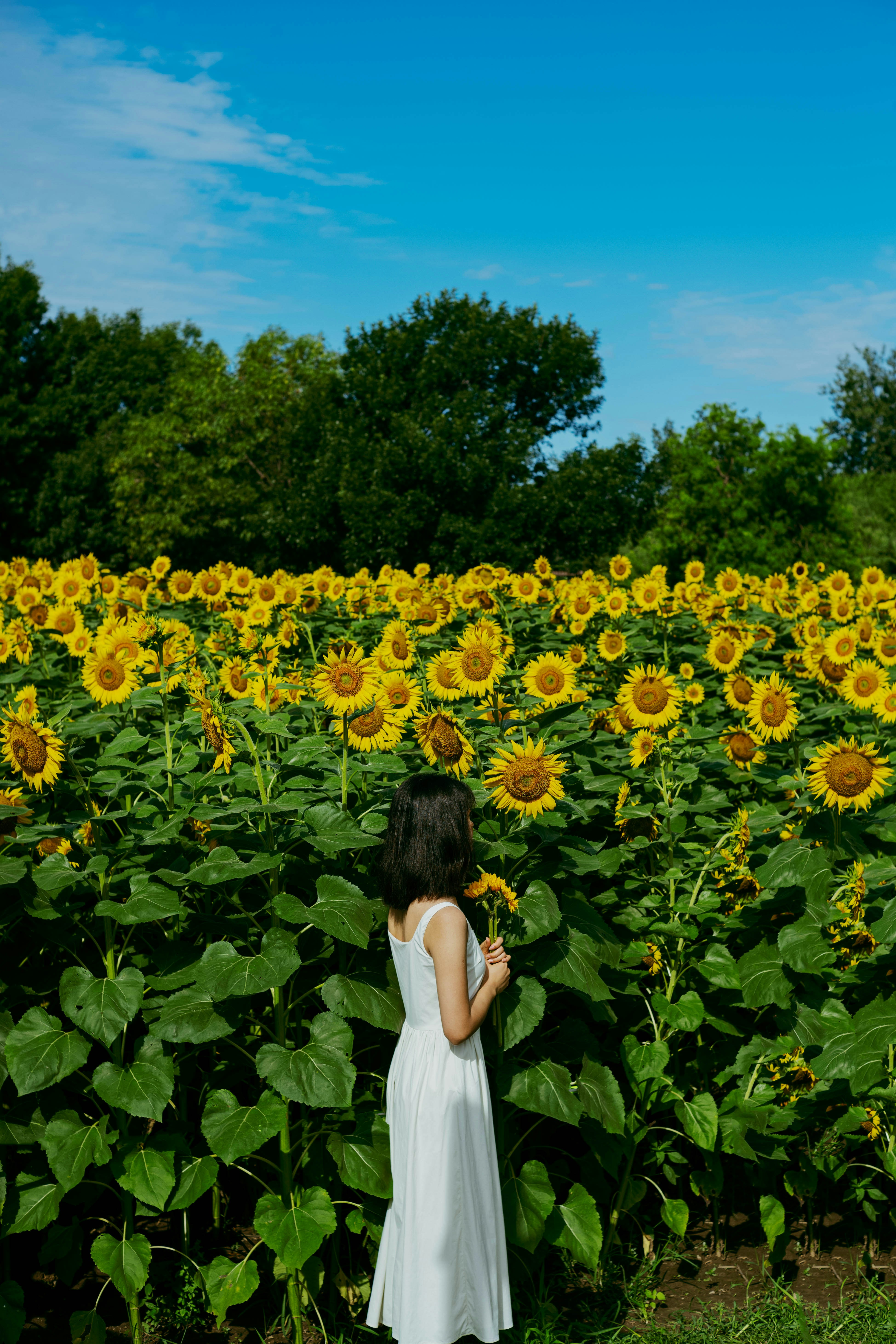 Photo by tommaomaoer