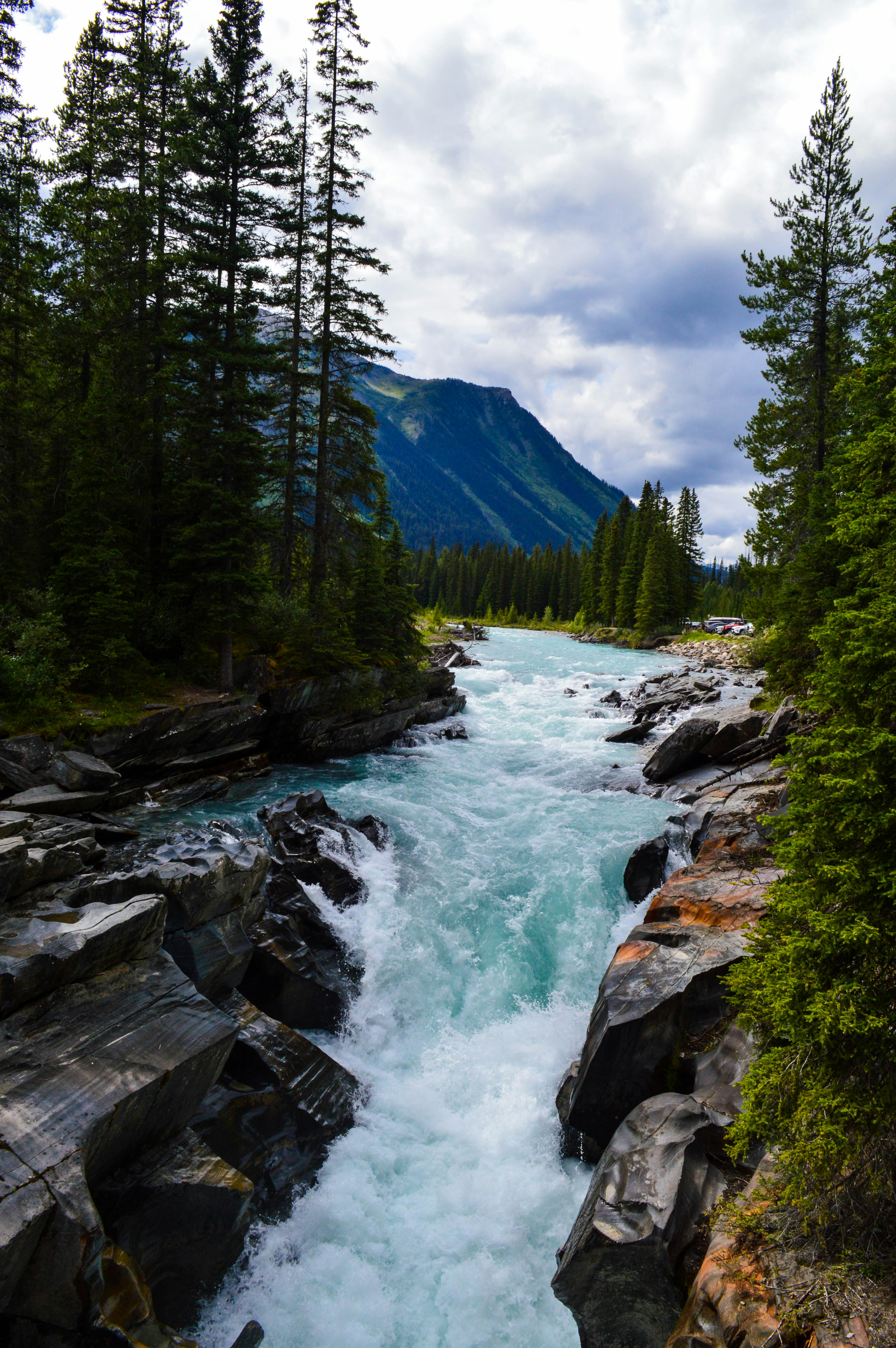 Photo by aliasgar_ujjaini