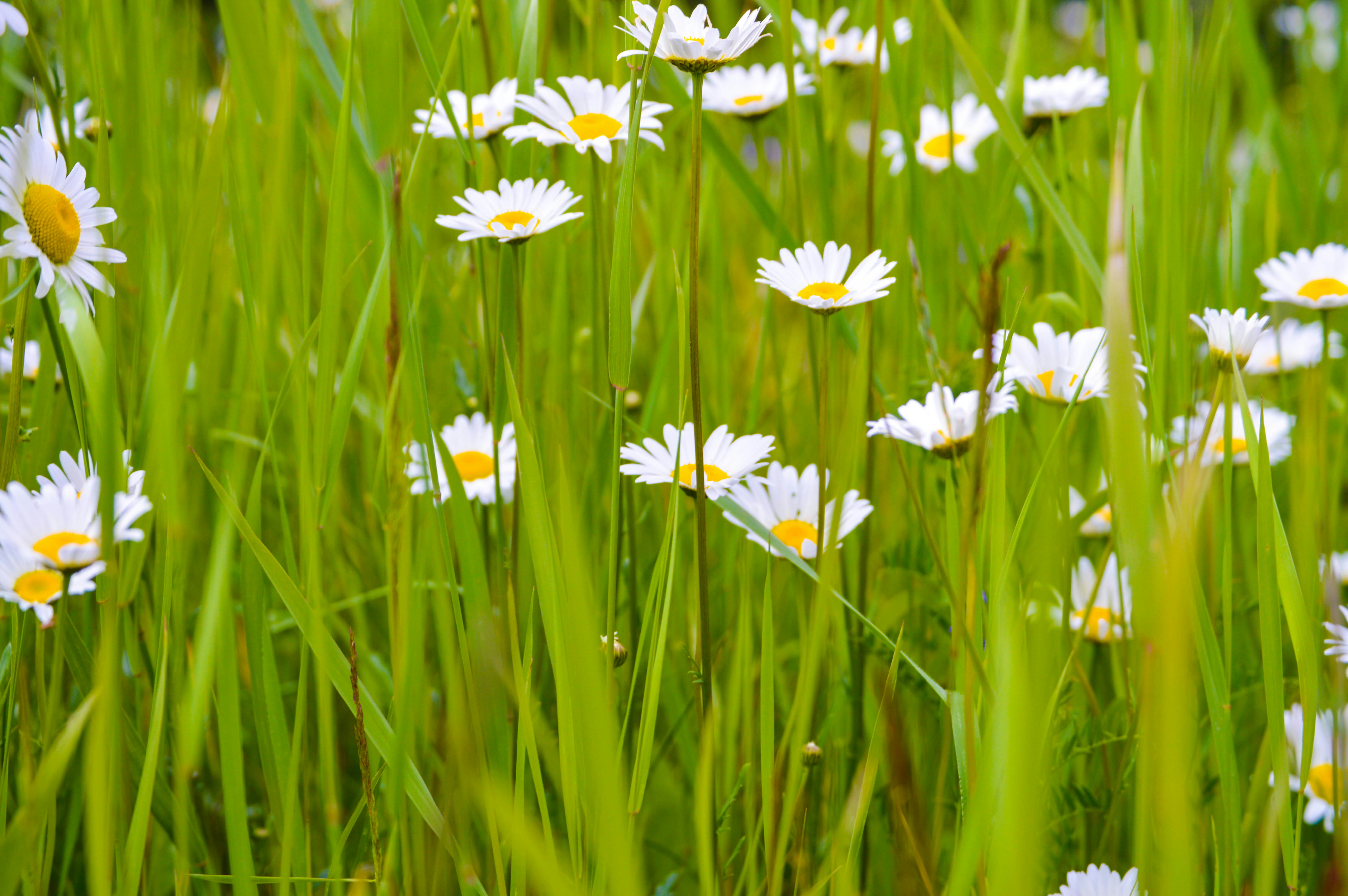 Photo by aliasgar_ujjaini