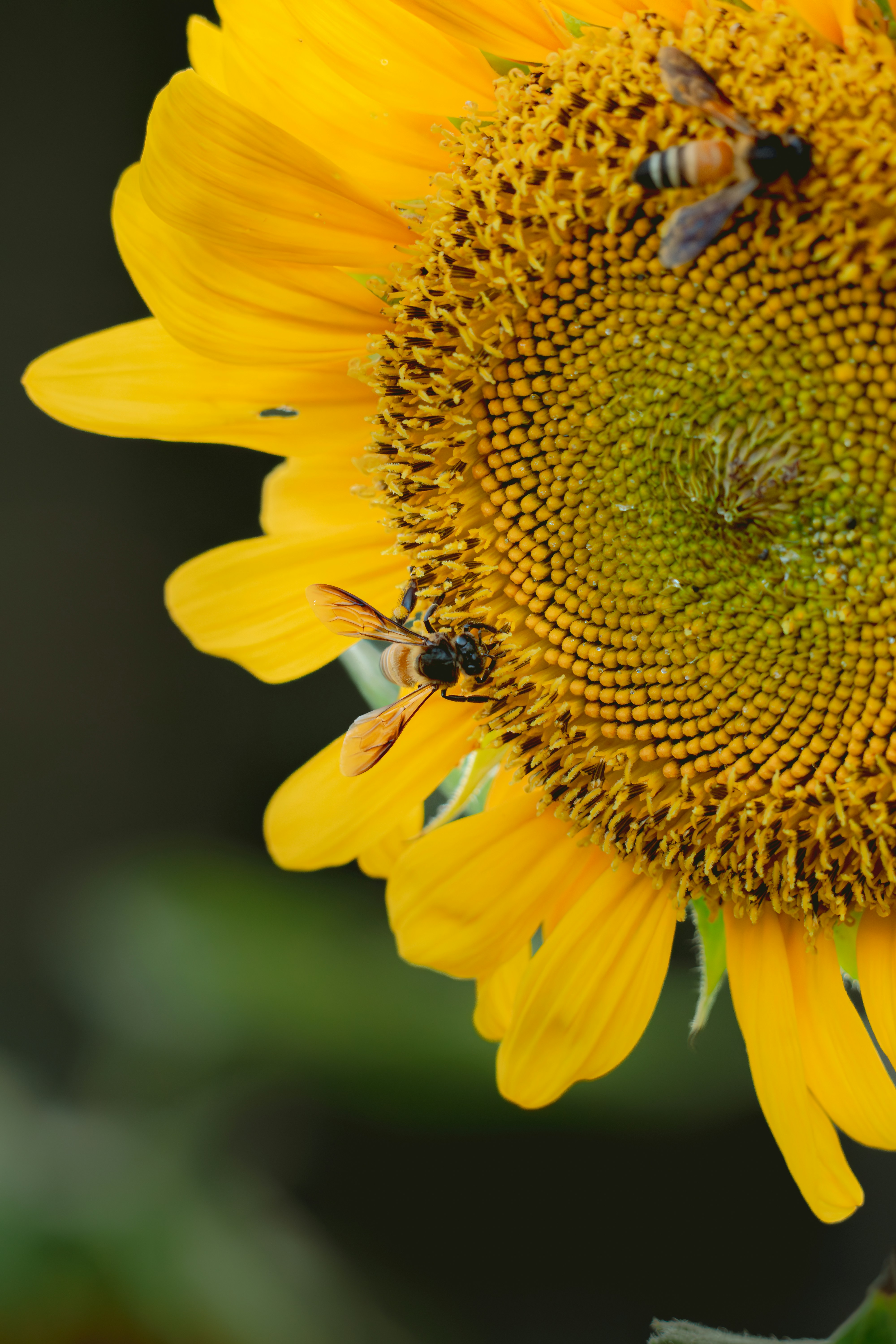 Photo by sleeba_thomas