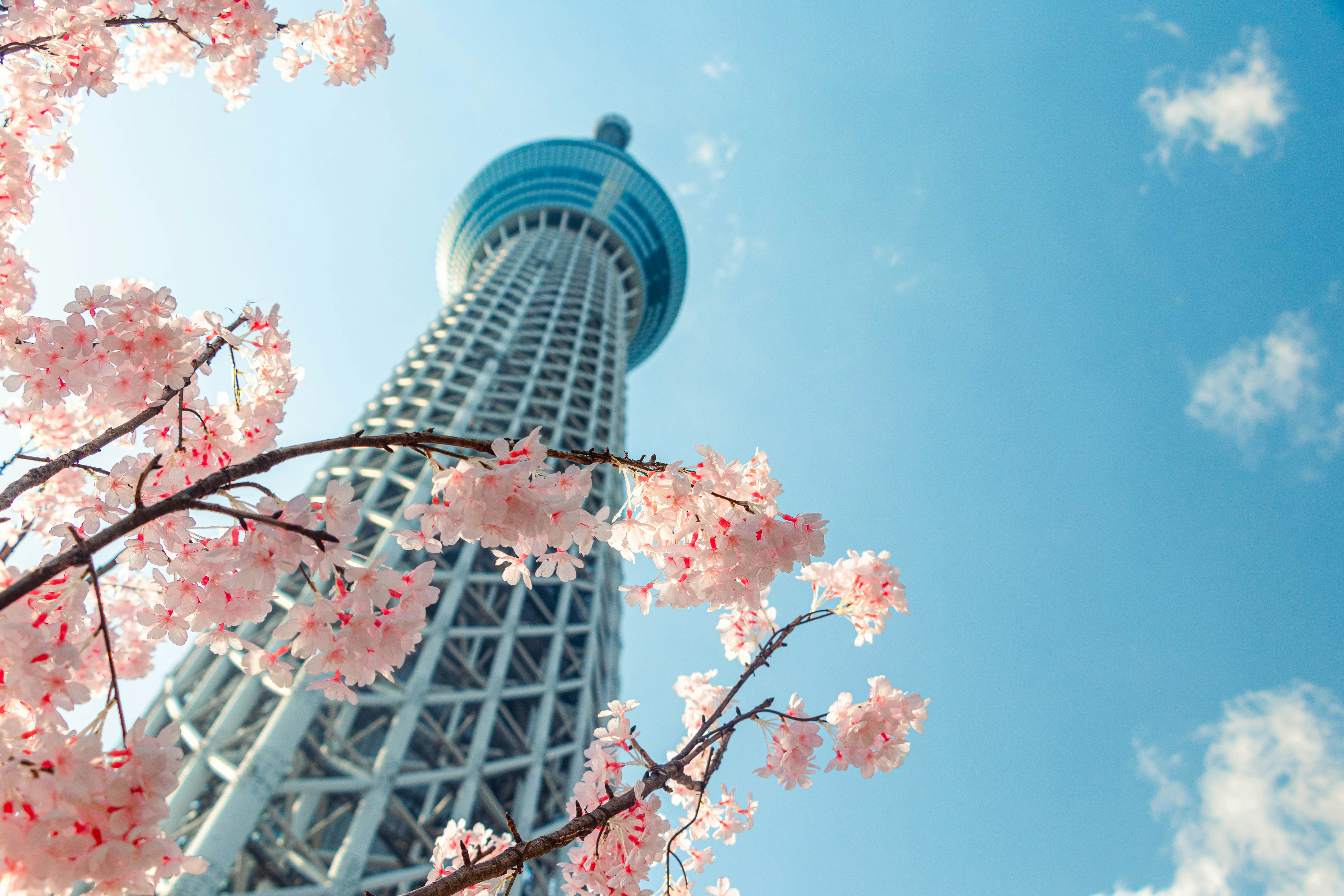 일본 여행 경비, 왜 친구랑 100만원 넘게 차이 날까?