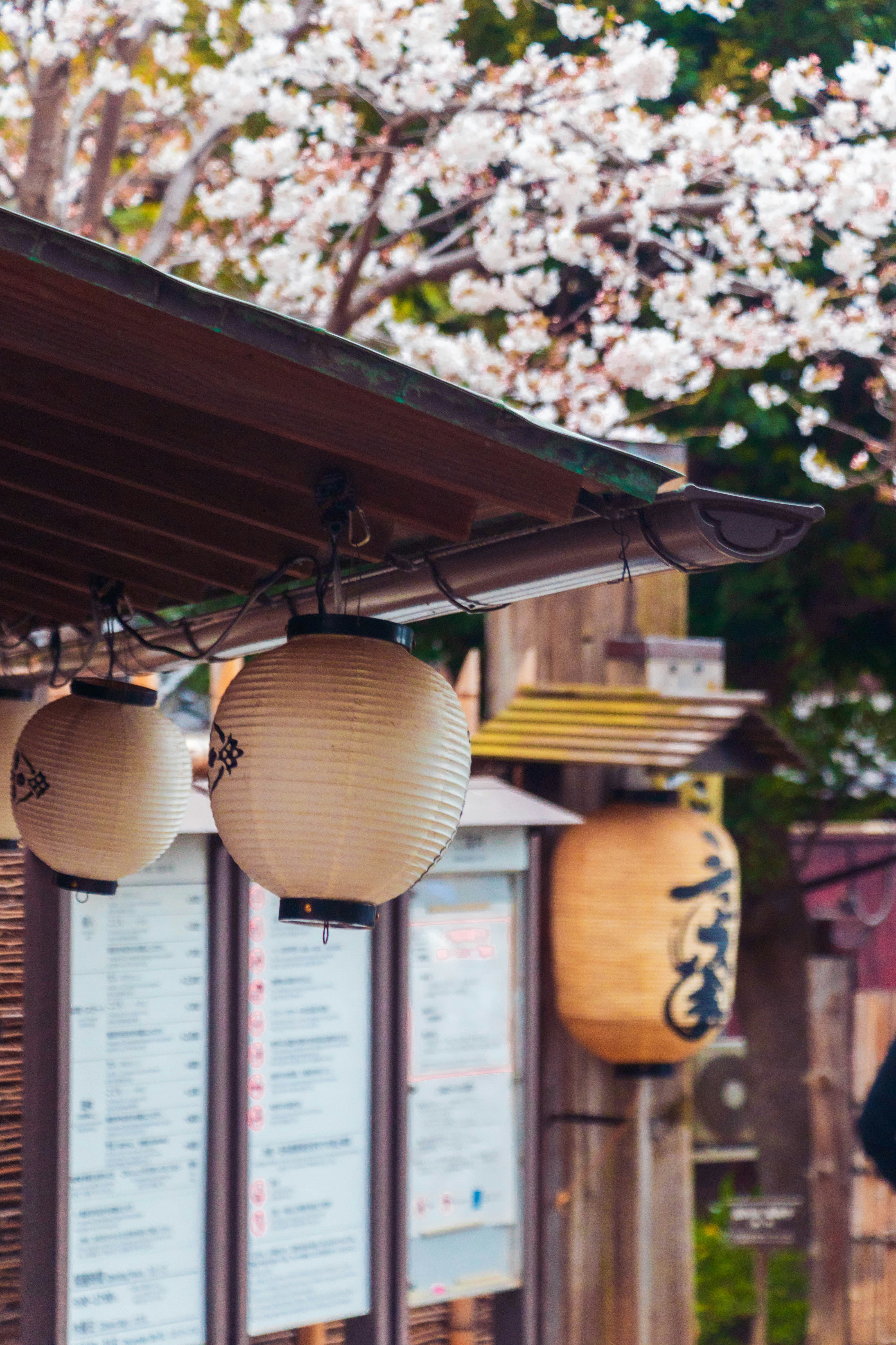 Photo by s_arshia_nzm