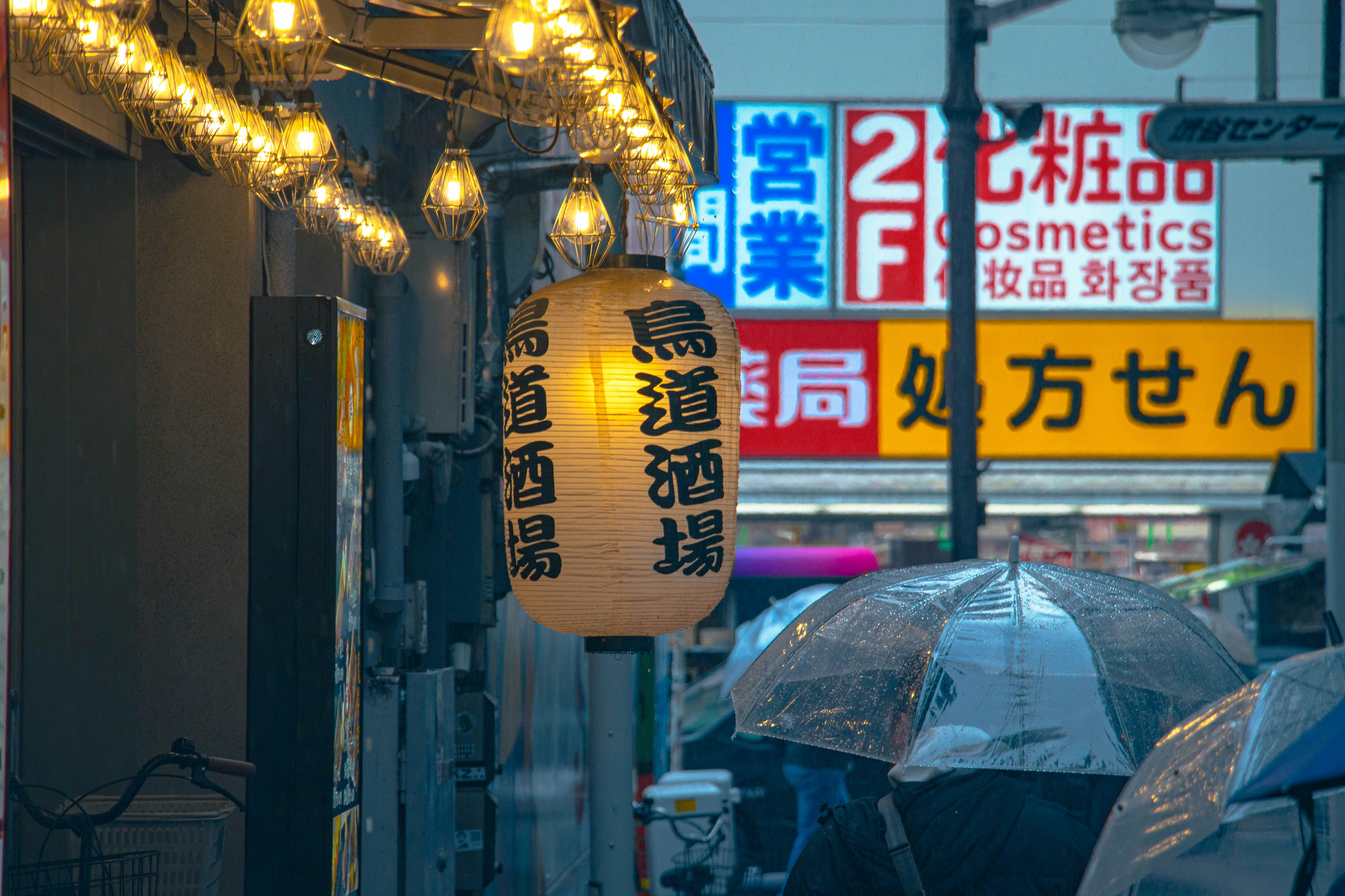 Photo by s_arshia_nzm