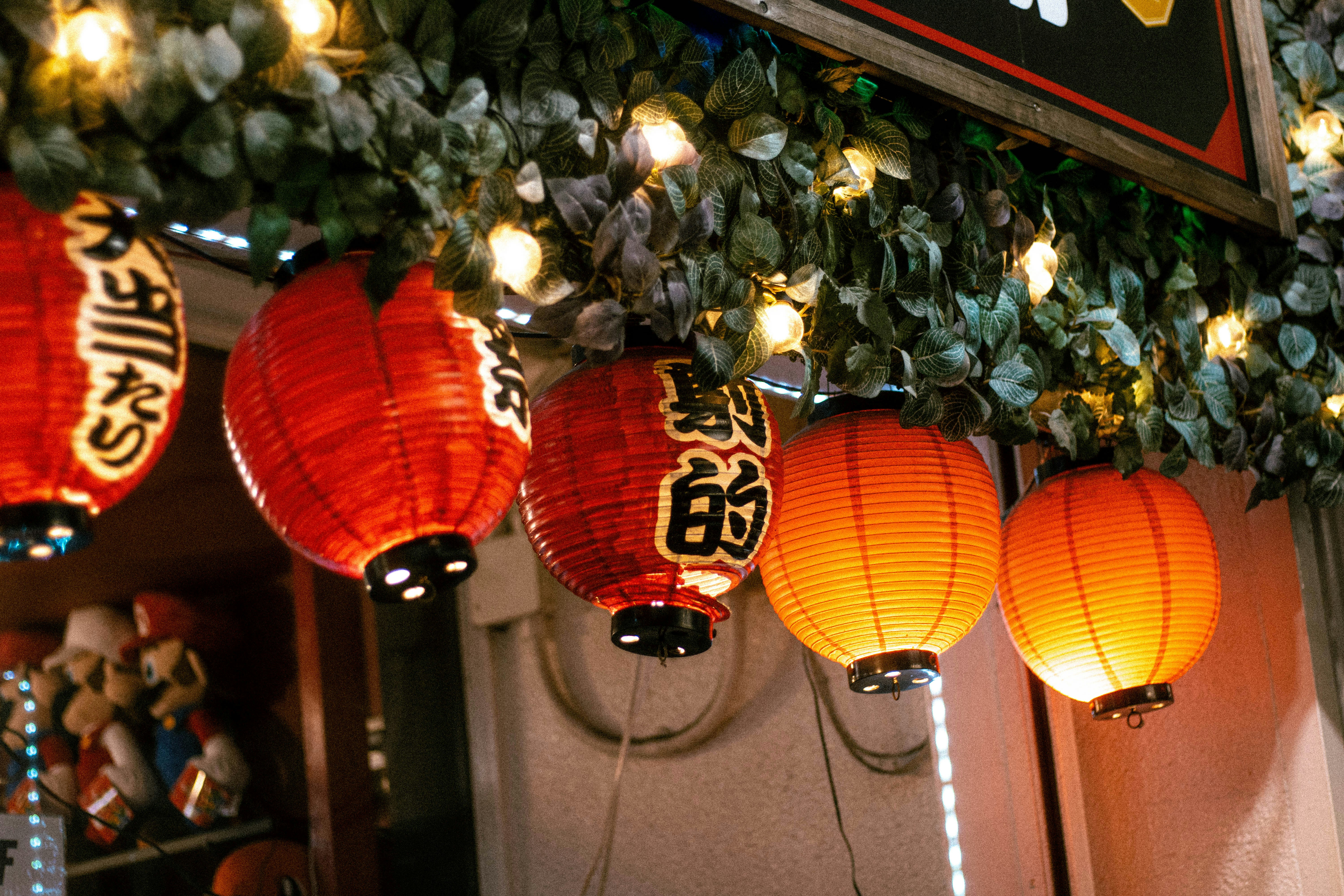 Photo by s_arshia_nzm