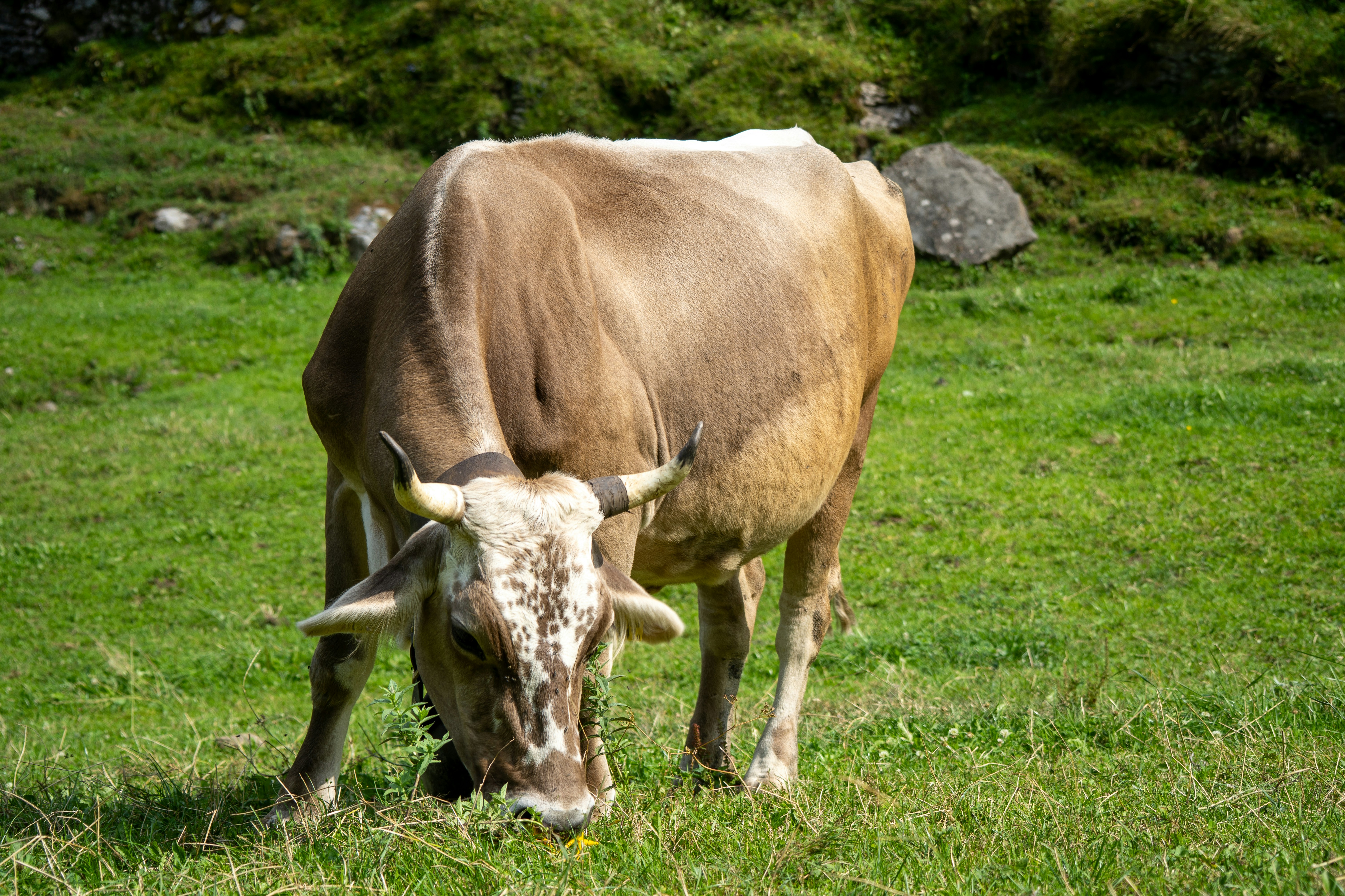 Photo by fabiankleiser