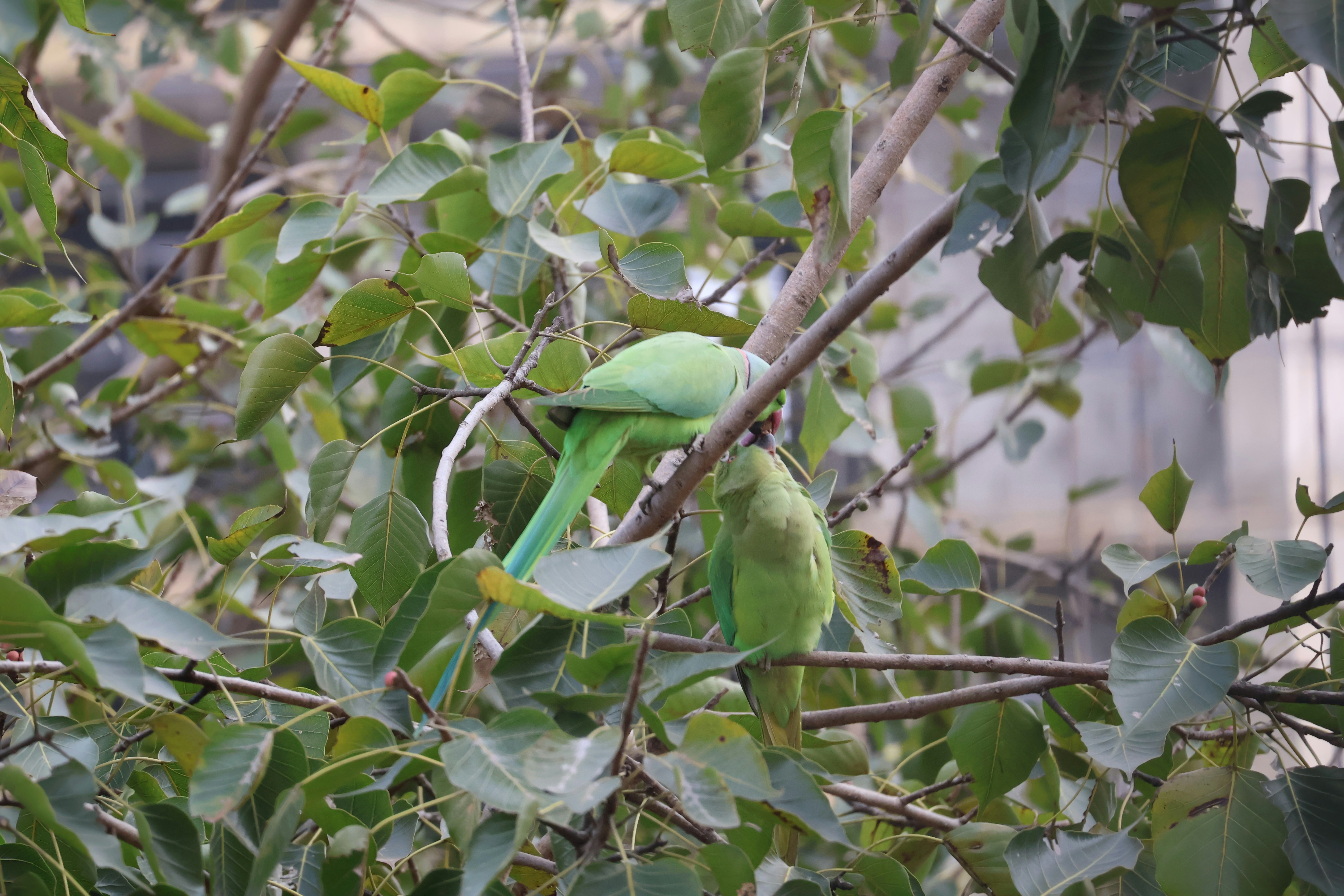 Photo by photography_paglu