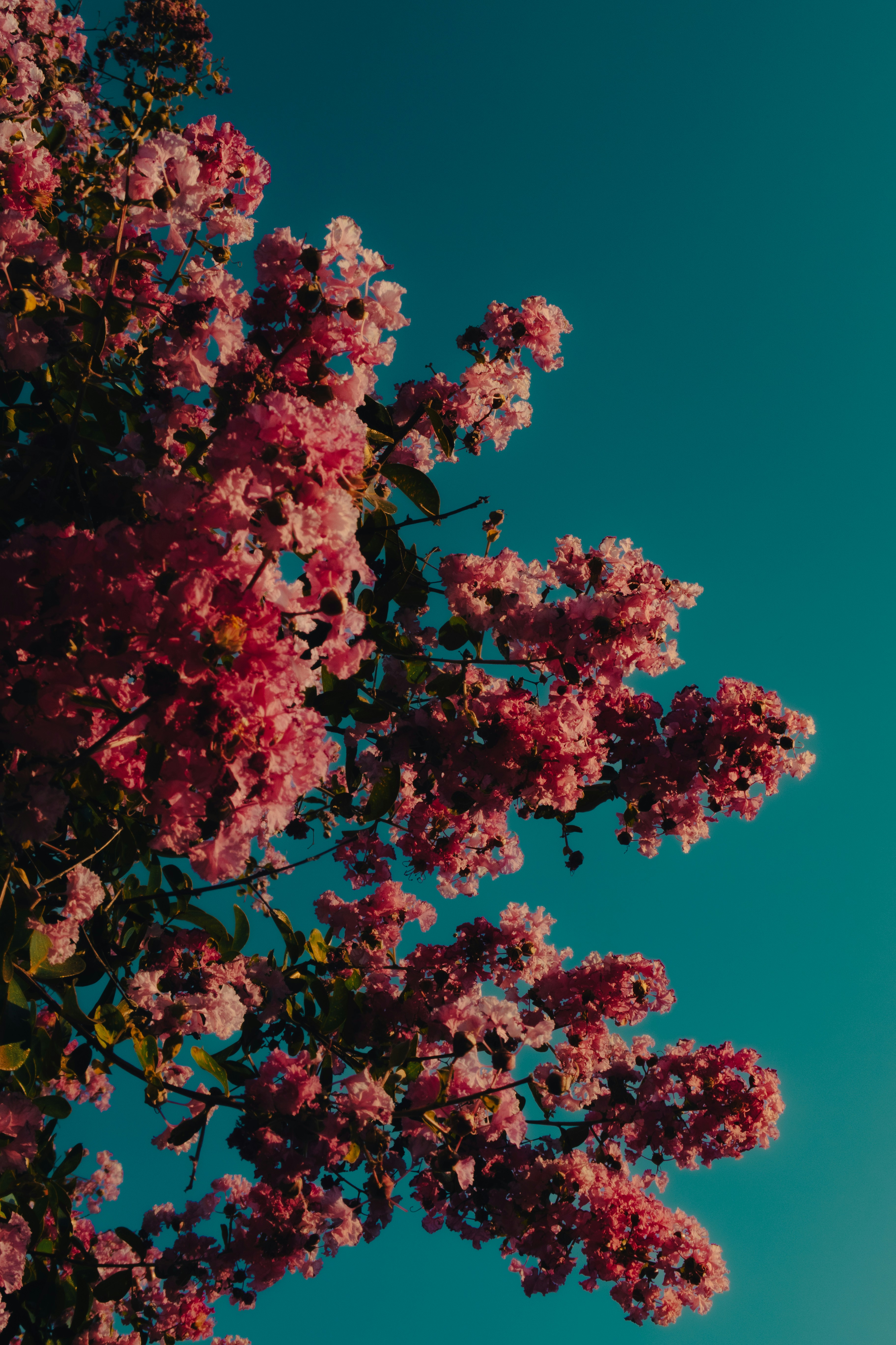 Photo by aelinaphotography