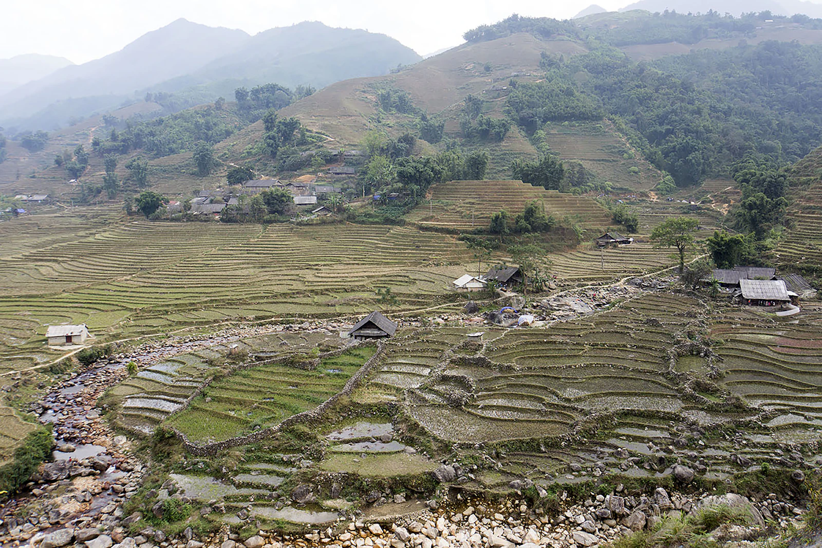Terraced rice fields climbing a misty valley near Sa Pa