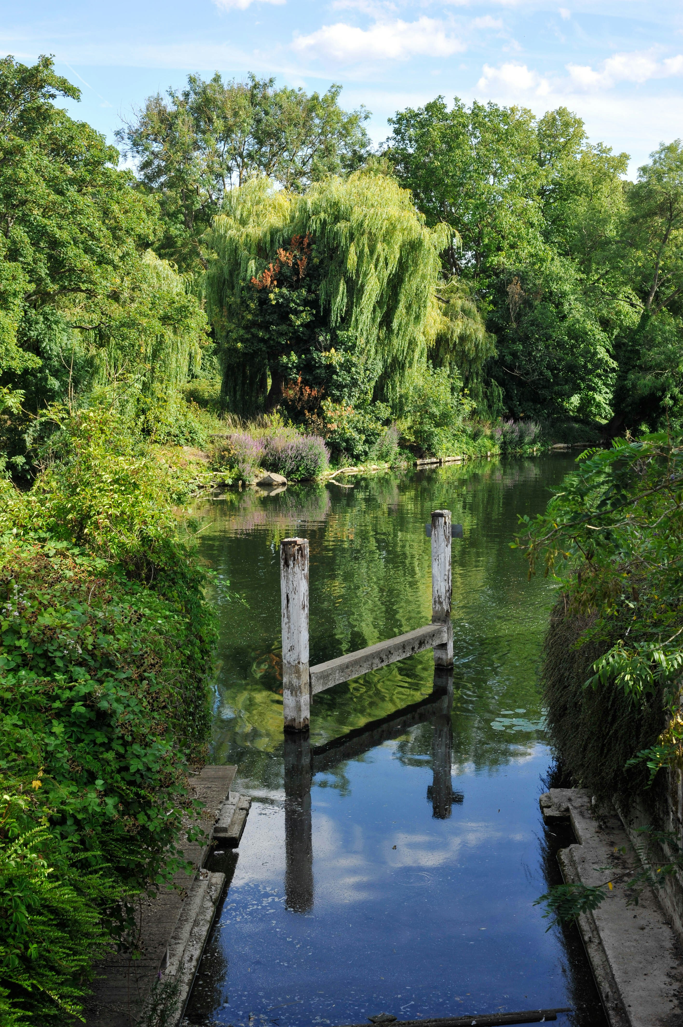 Photo by miss_mcgeek