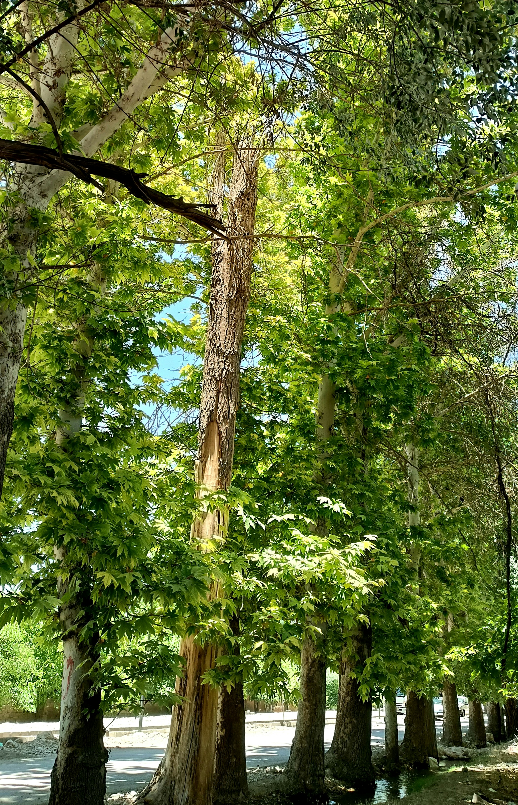 Photo by paris_nature_photo