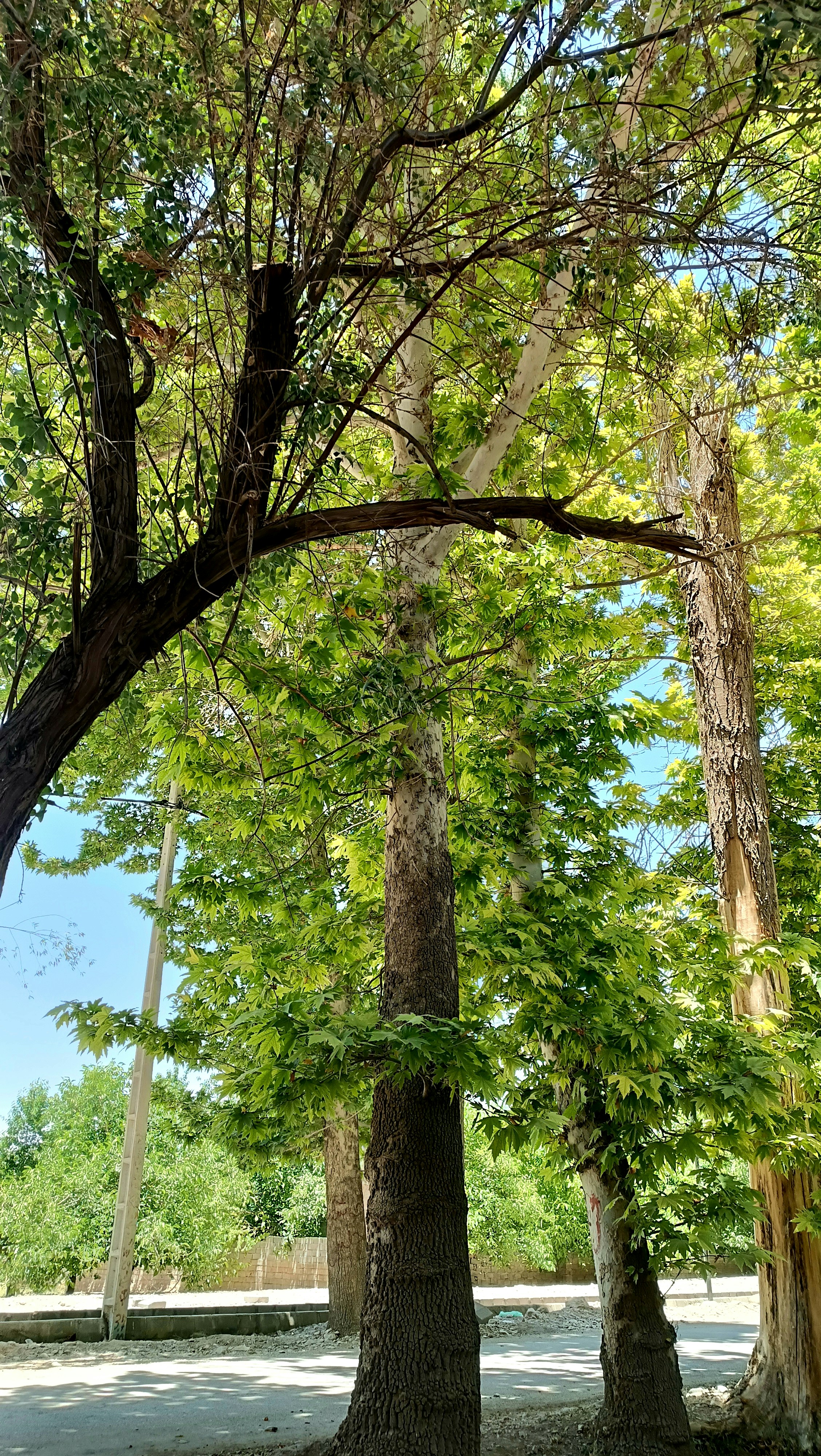 Photo by paris_nature_photo