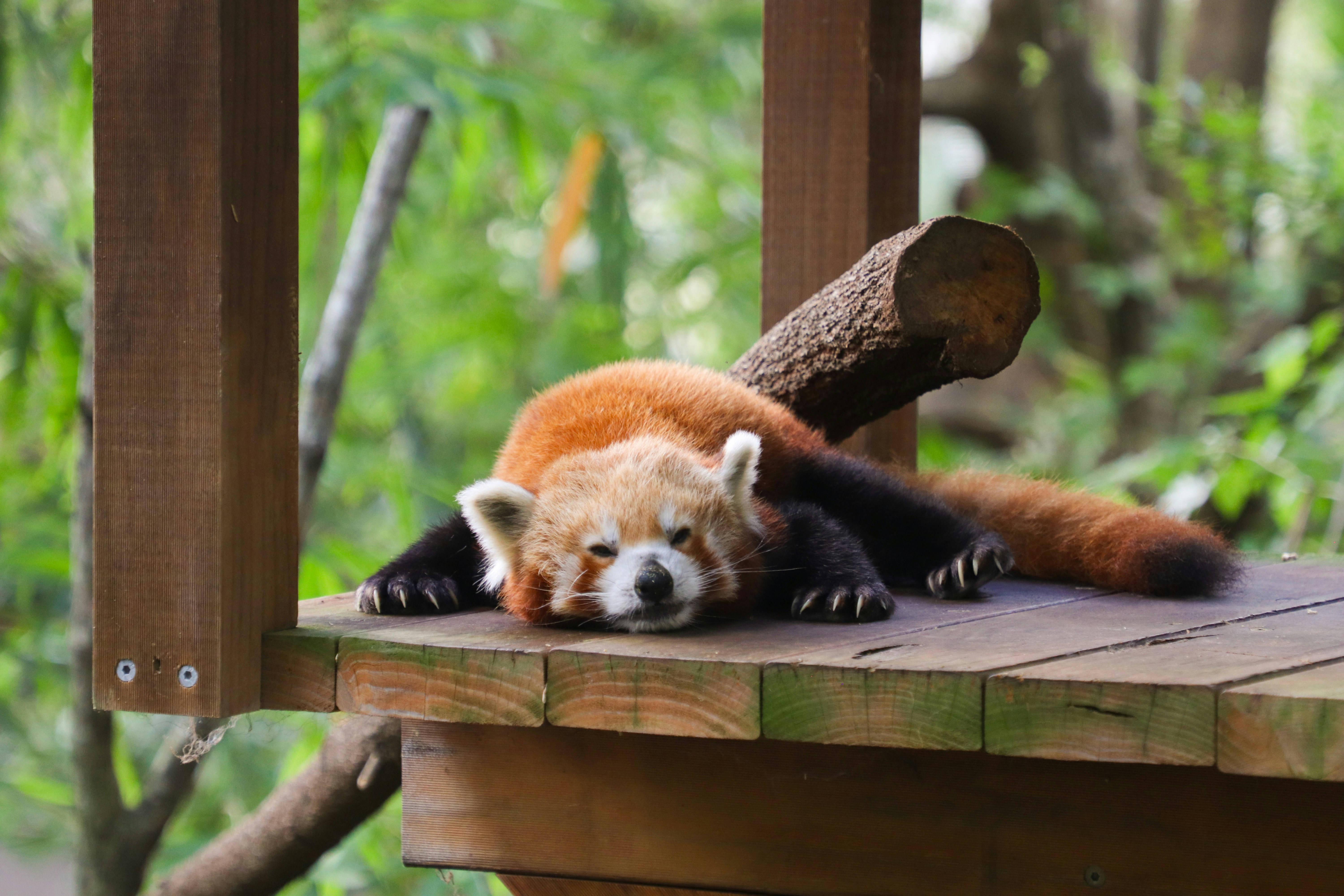 Photo by chrismedina