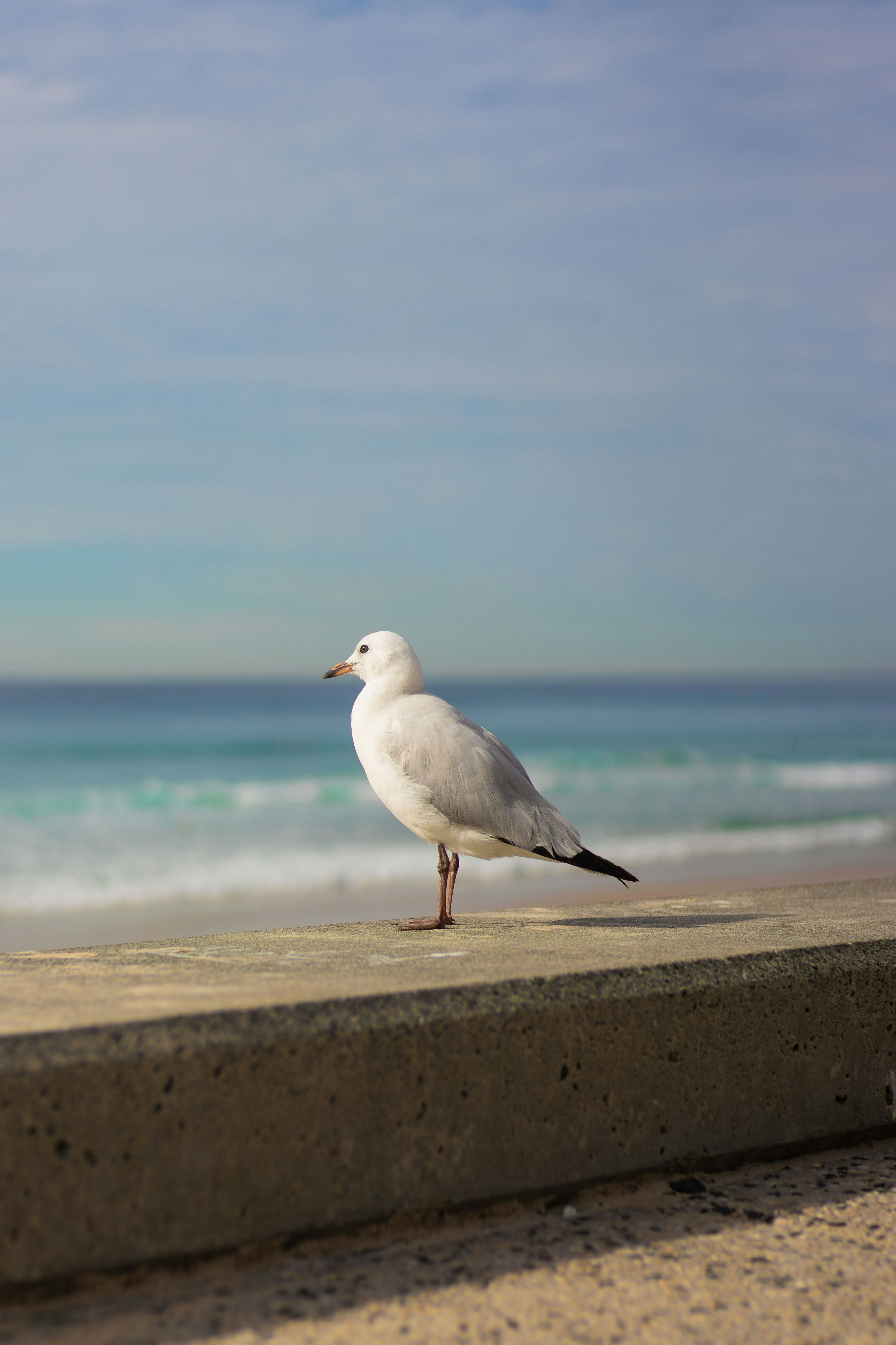 Photo by chrismedina