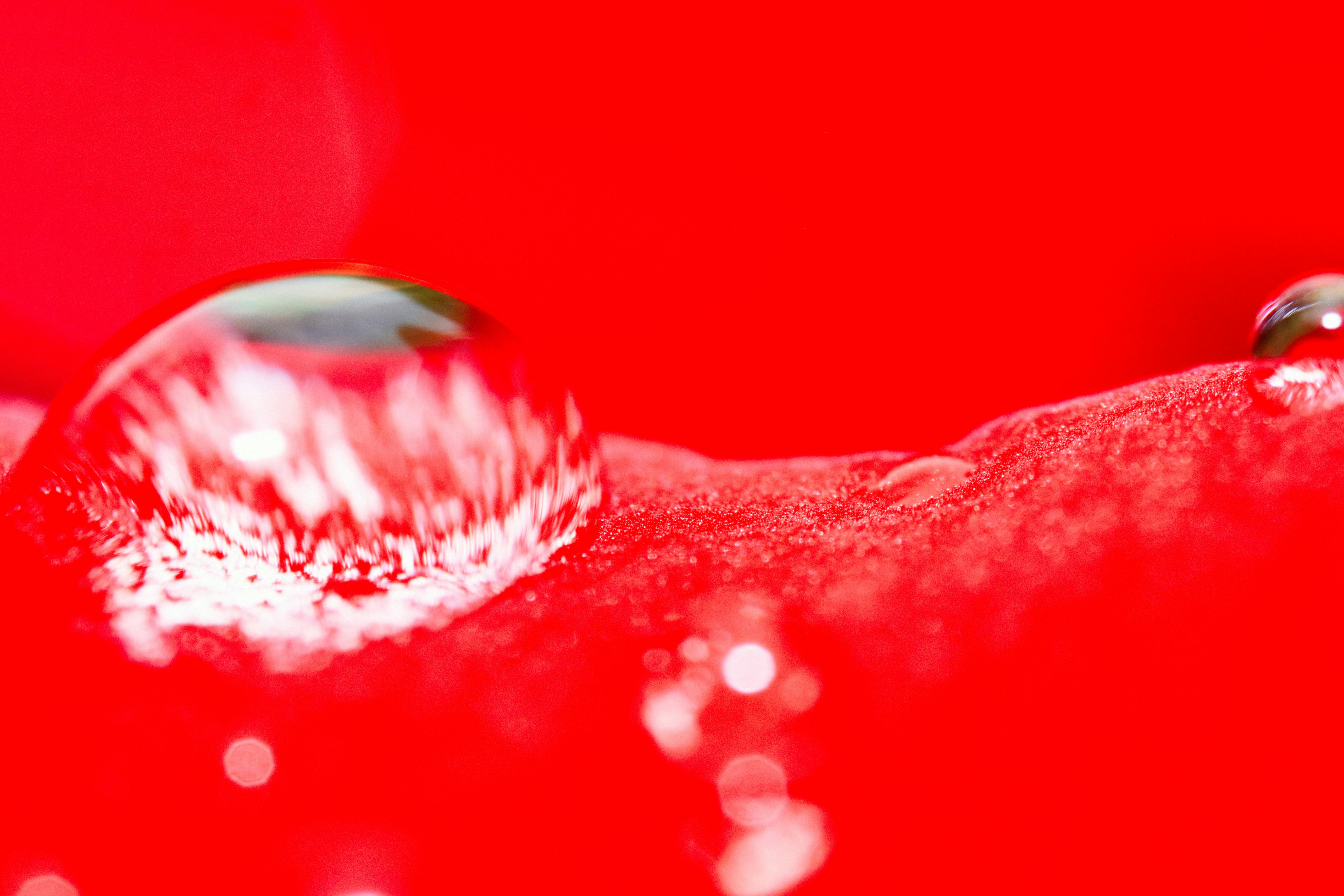 Photo by grievek1610begur