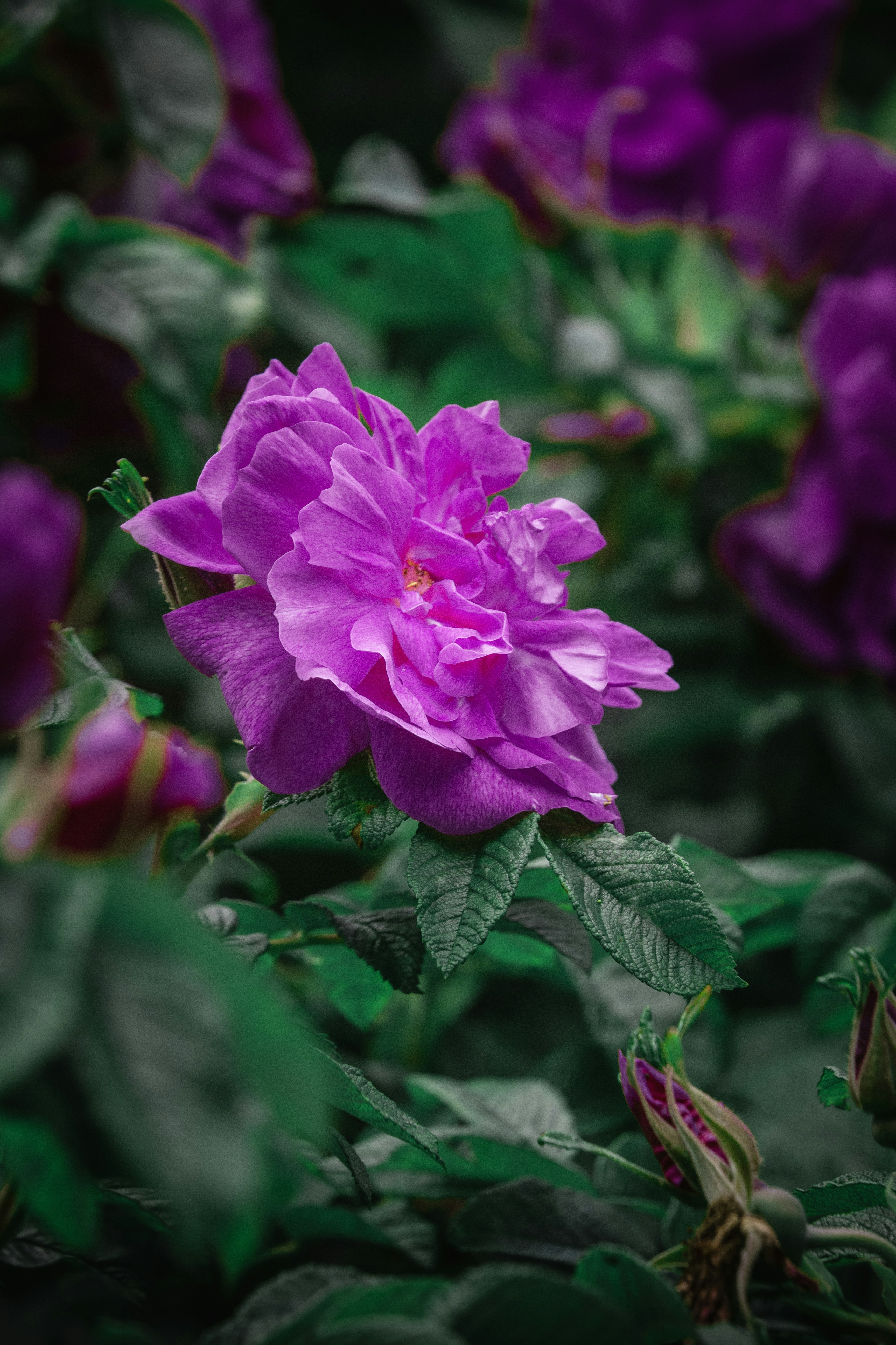 Photo by edgebounder