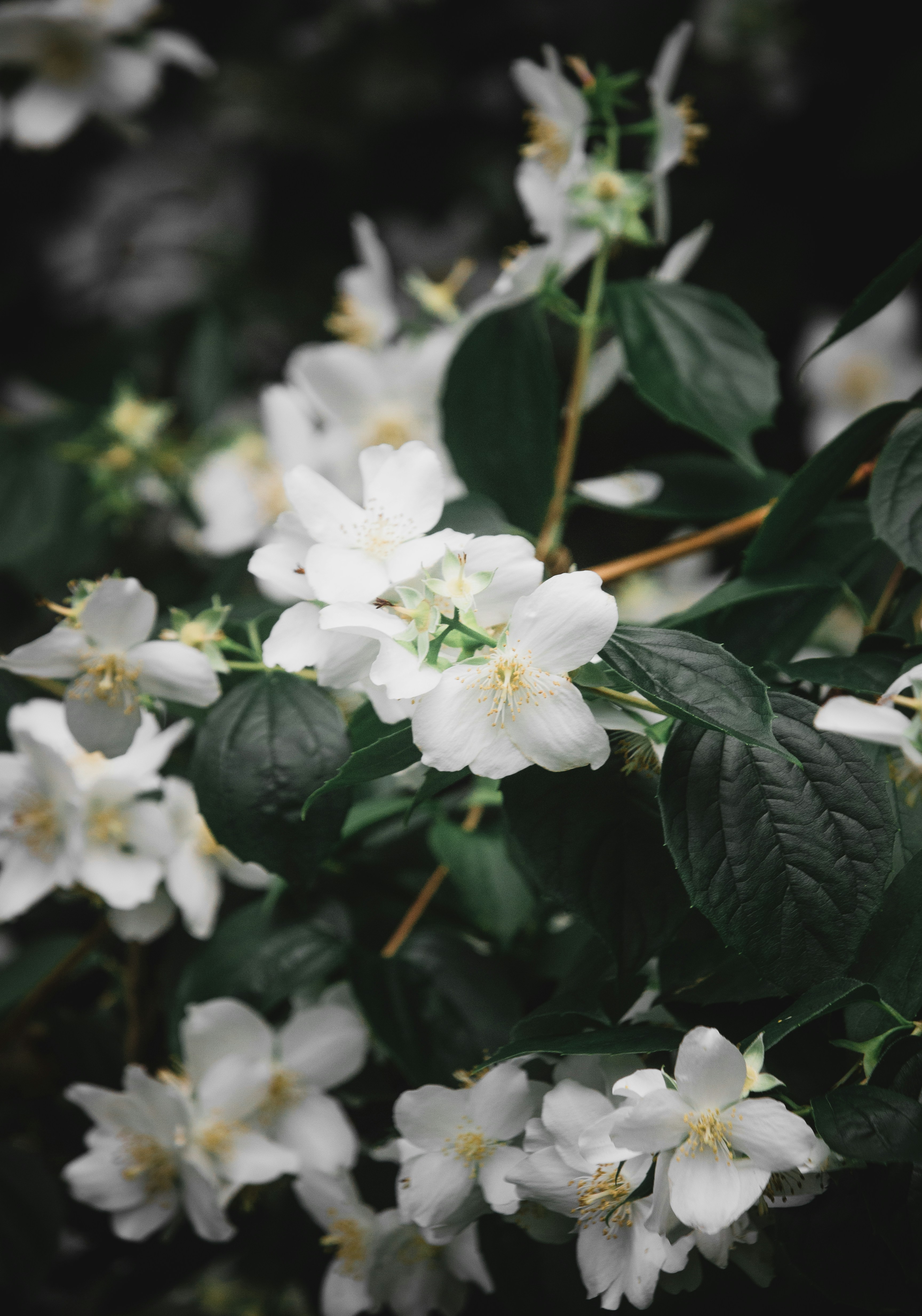 Photo by edgebounder