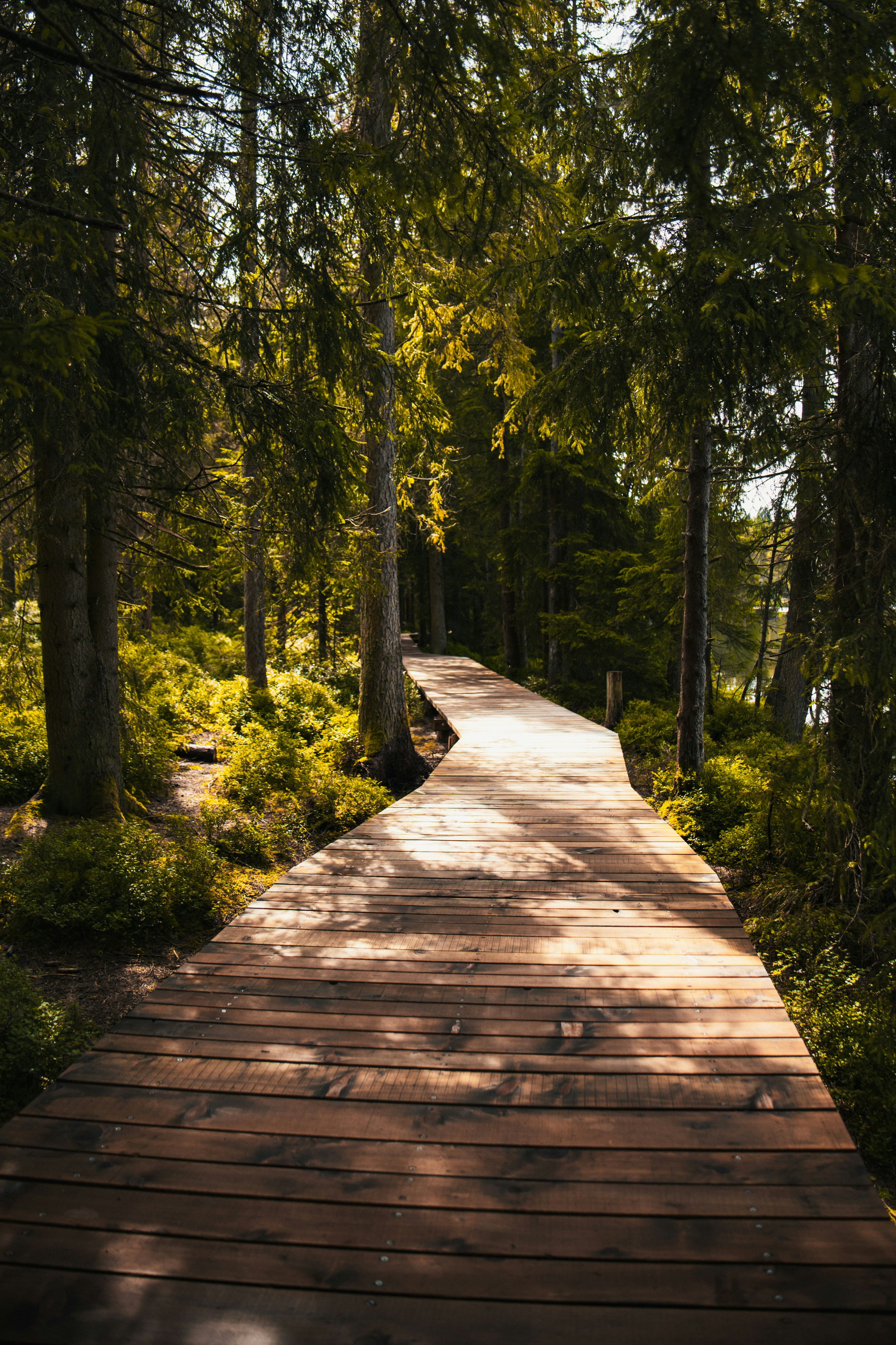 Photo by emilipothese