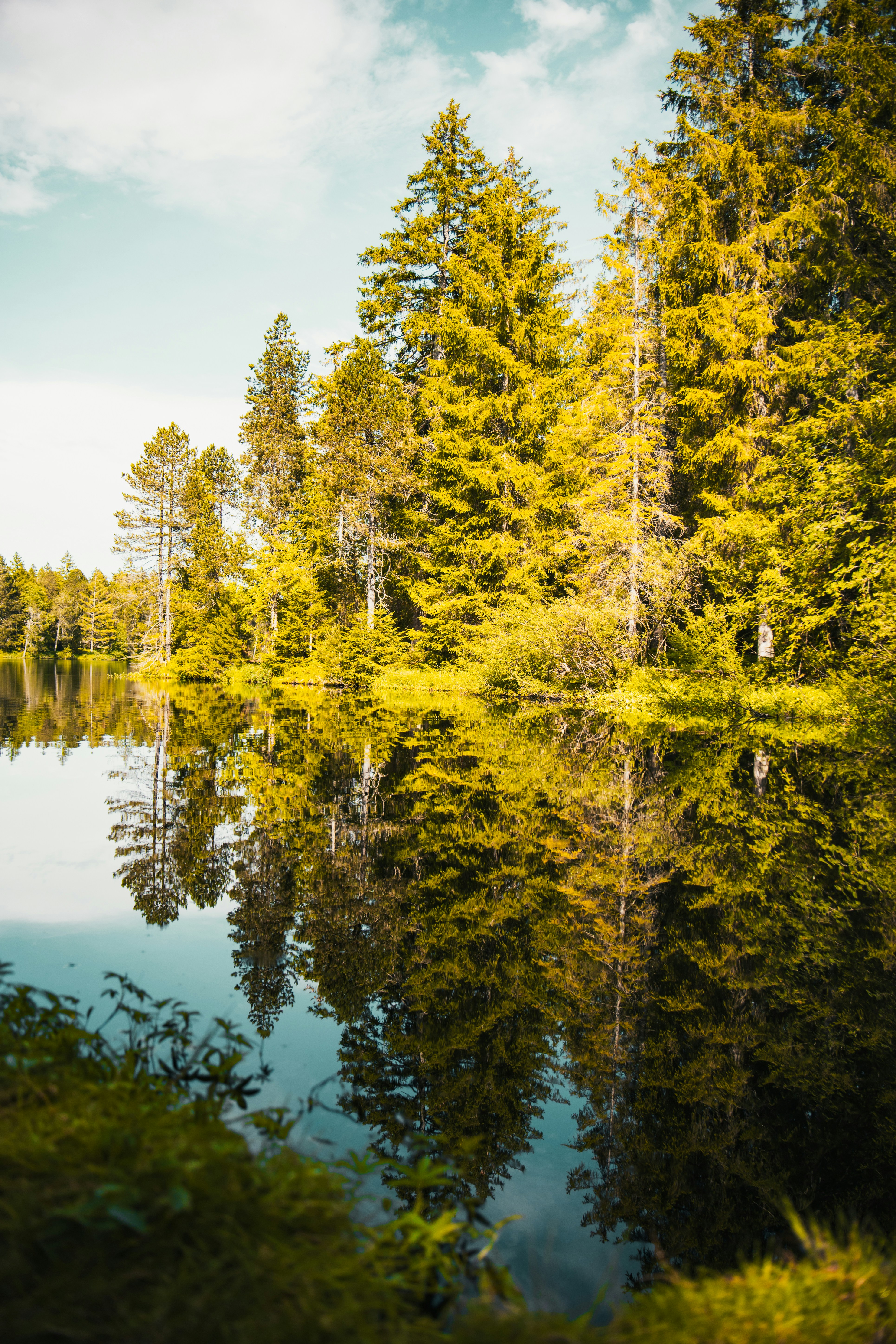 Photo by emilipothese