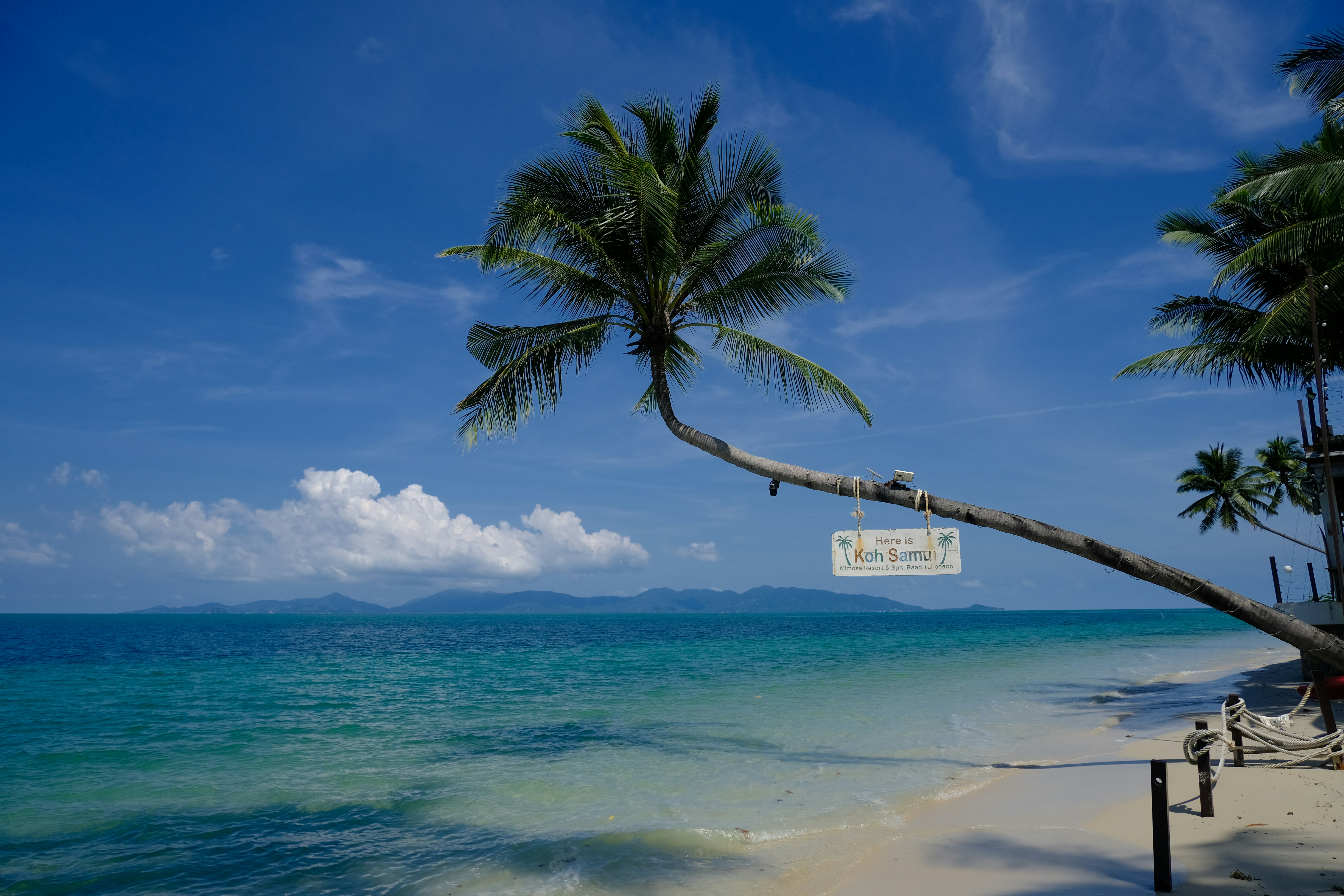 Beautiful tropical beach with palm trees and sea.