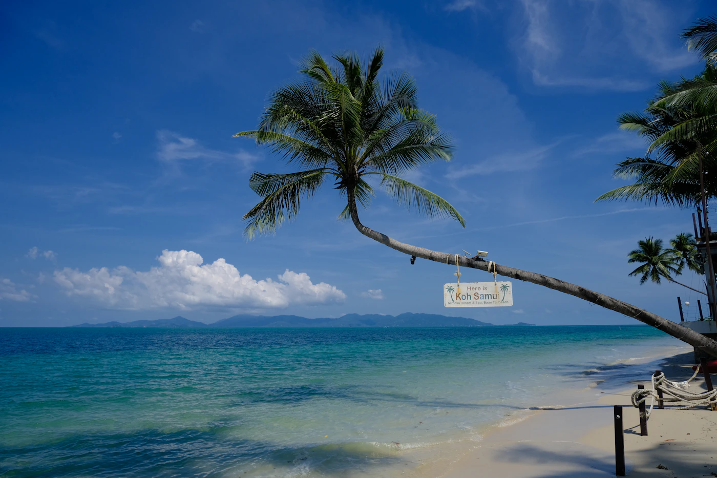 Tropical beach with palms and clear sea at Koh Samui, Thailand
