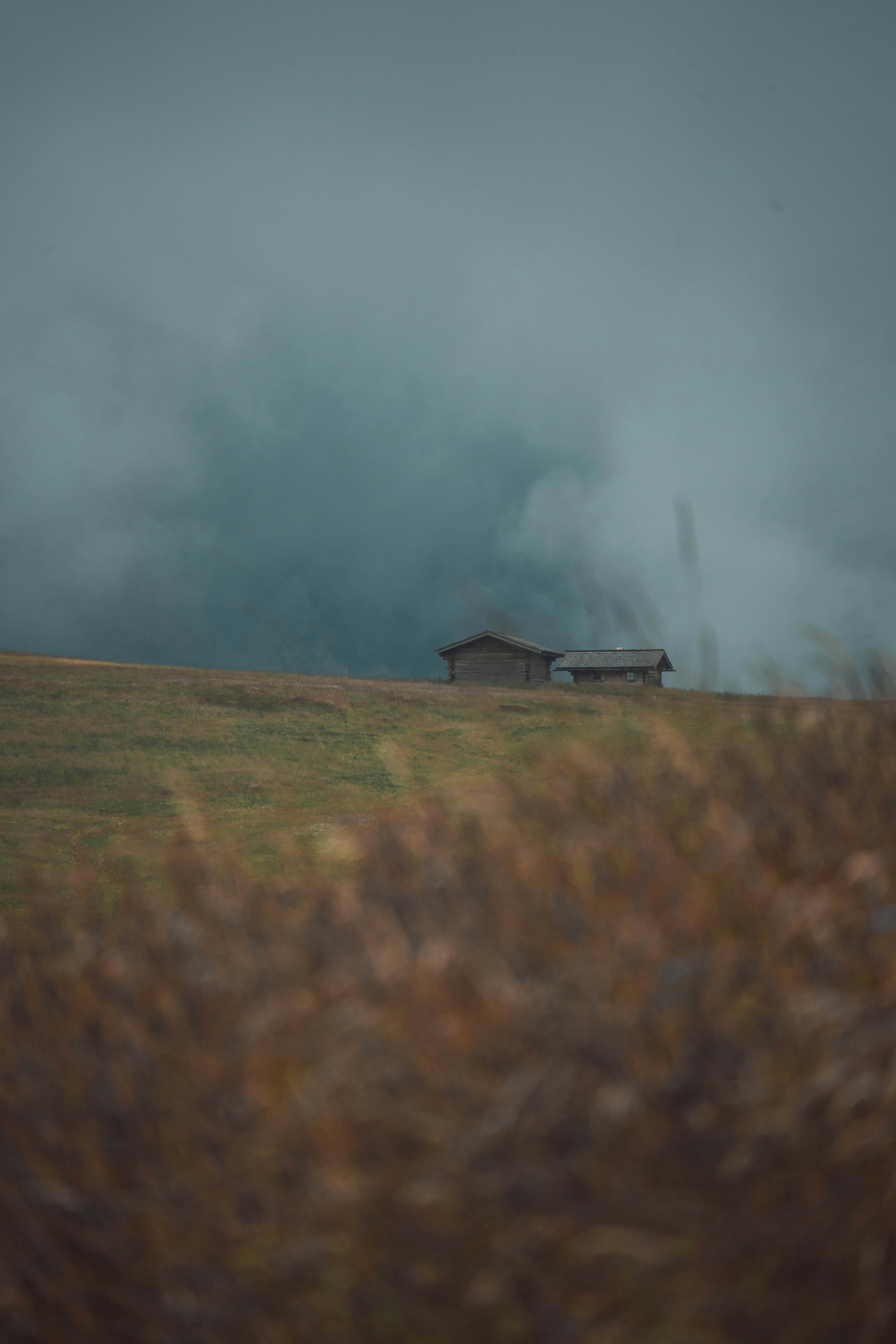 Photo by jonasdegener