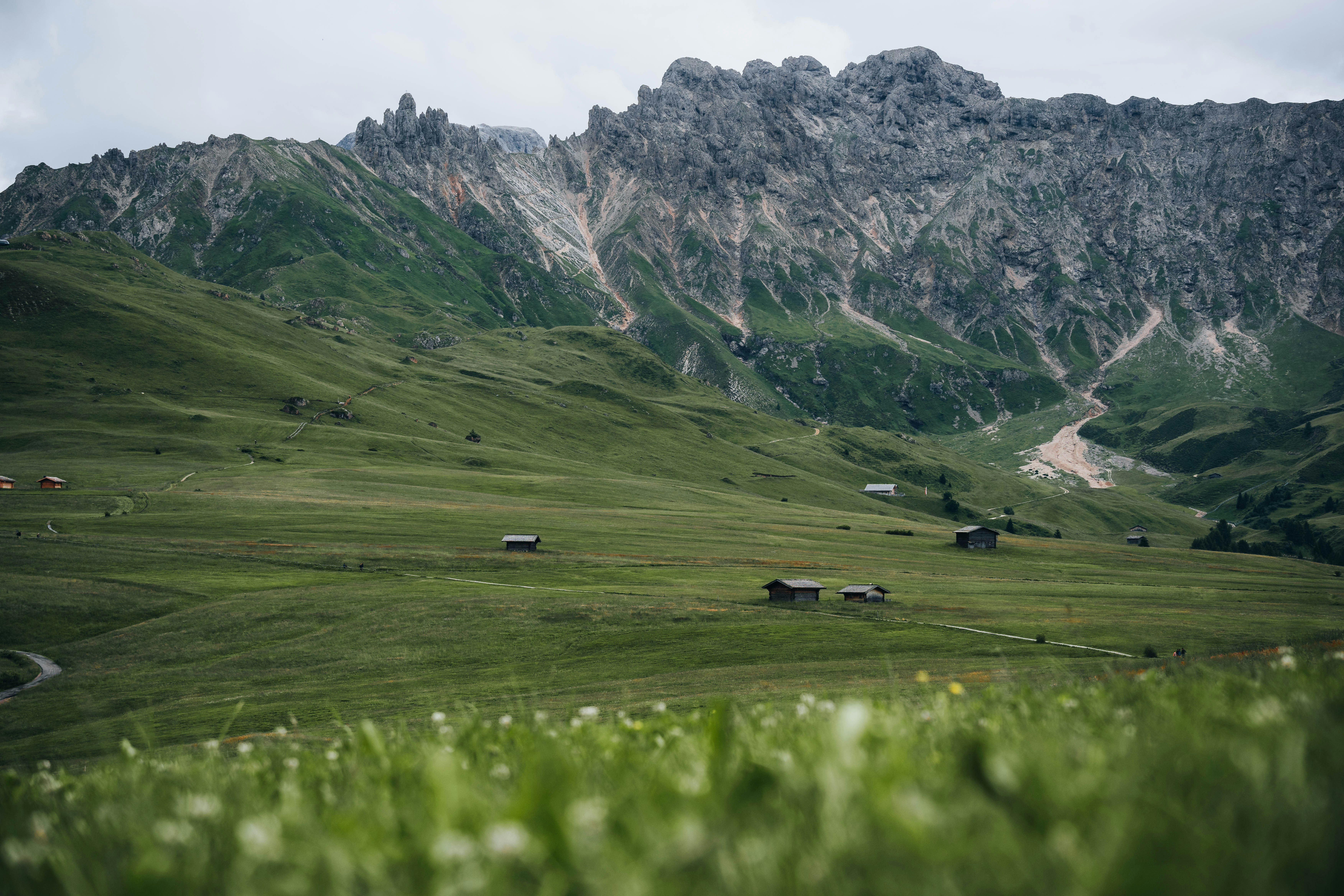 Photo by jonasdegener