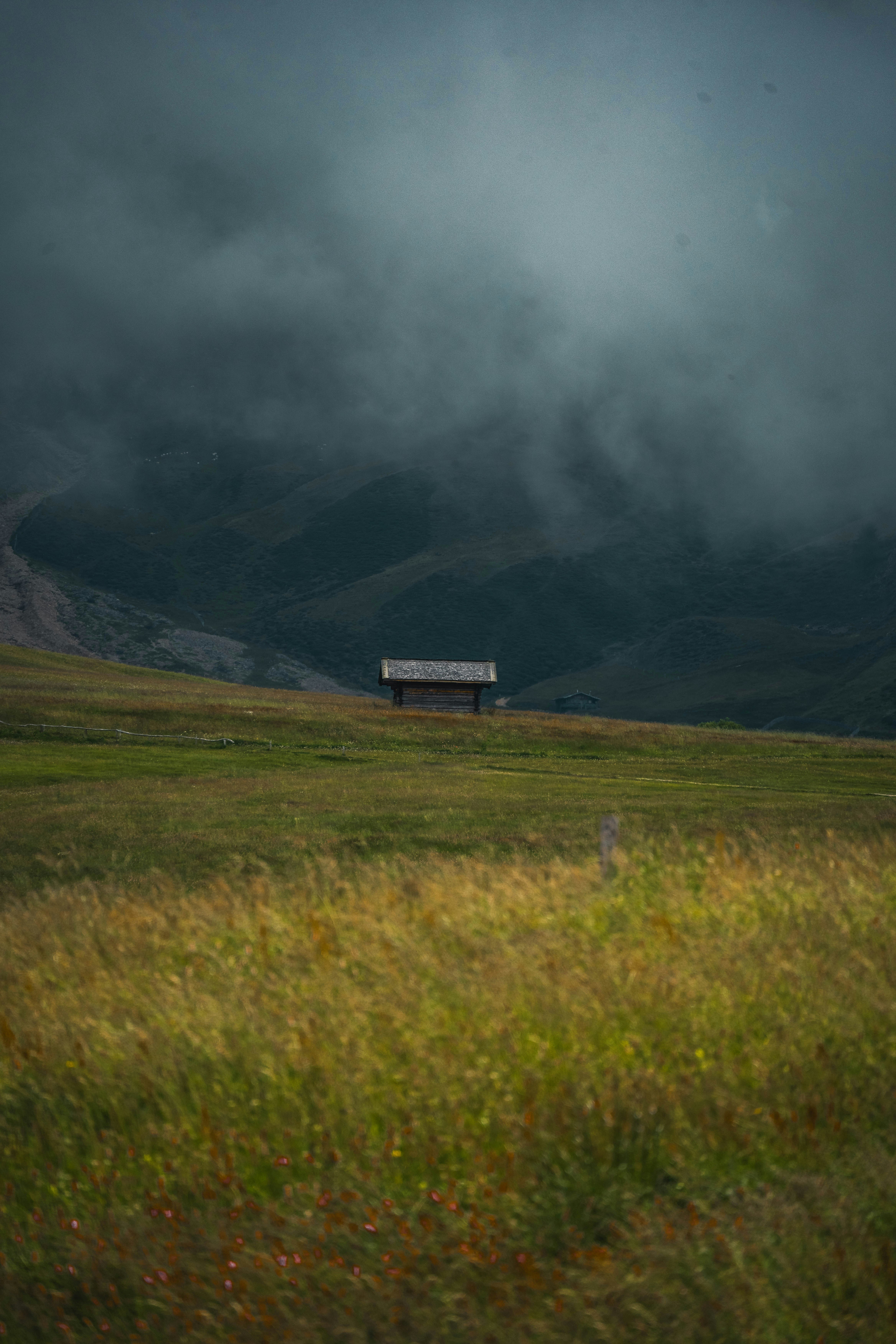 Photo by jonasdegener