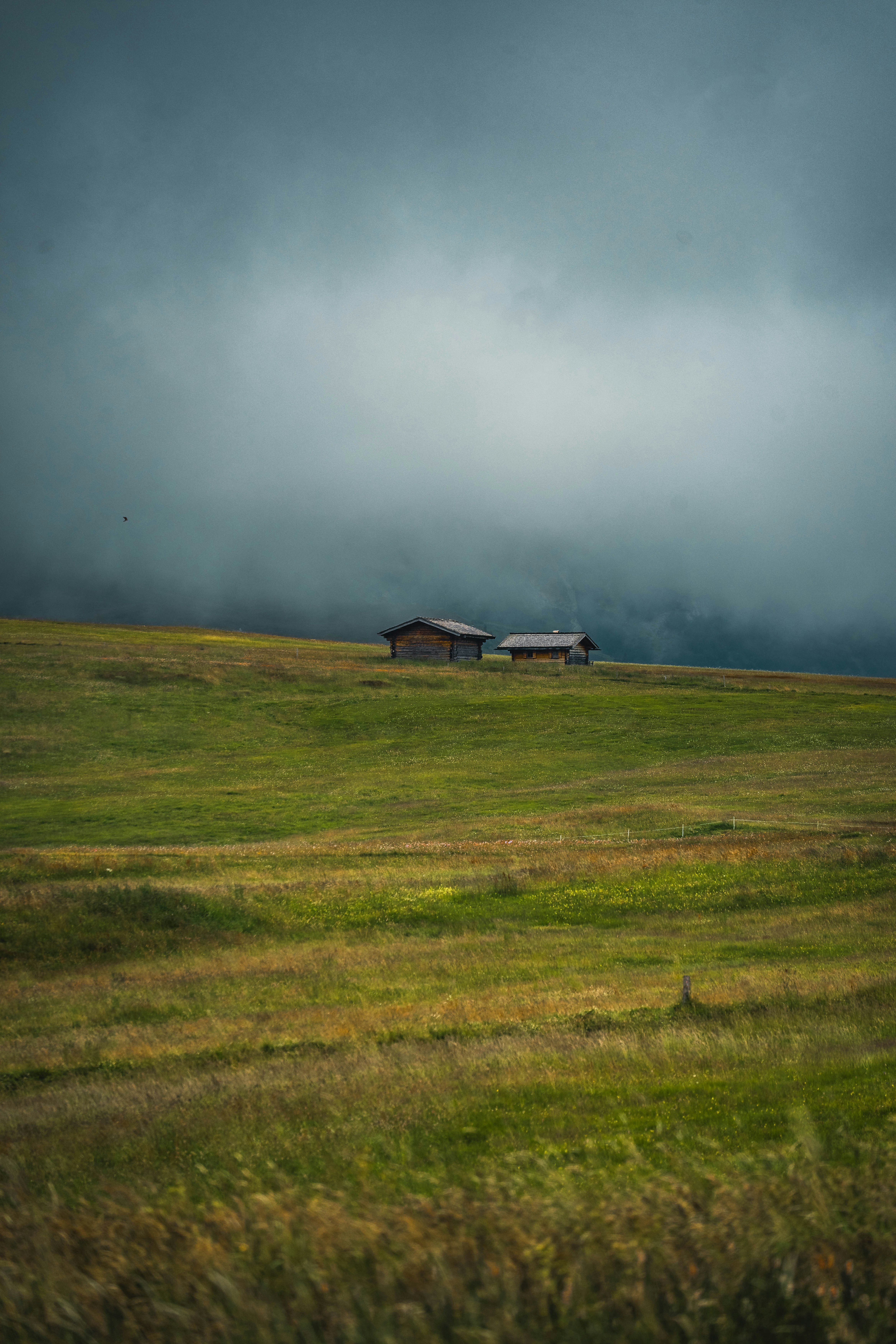 Photo by jonasdegener