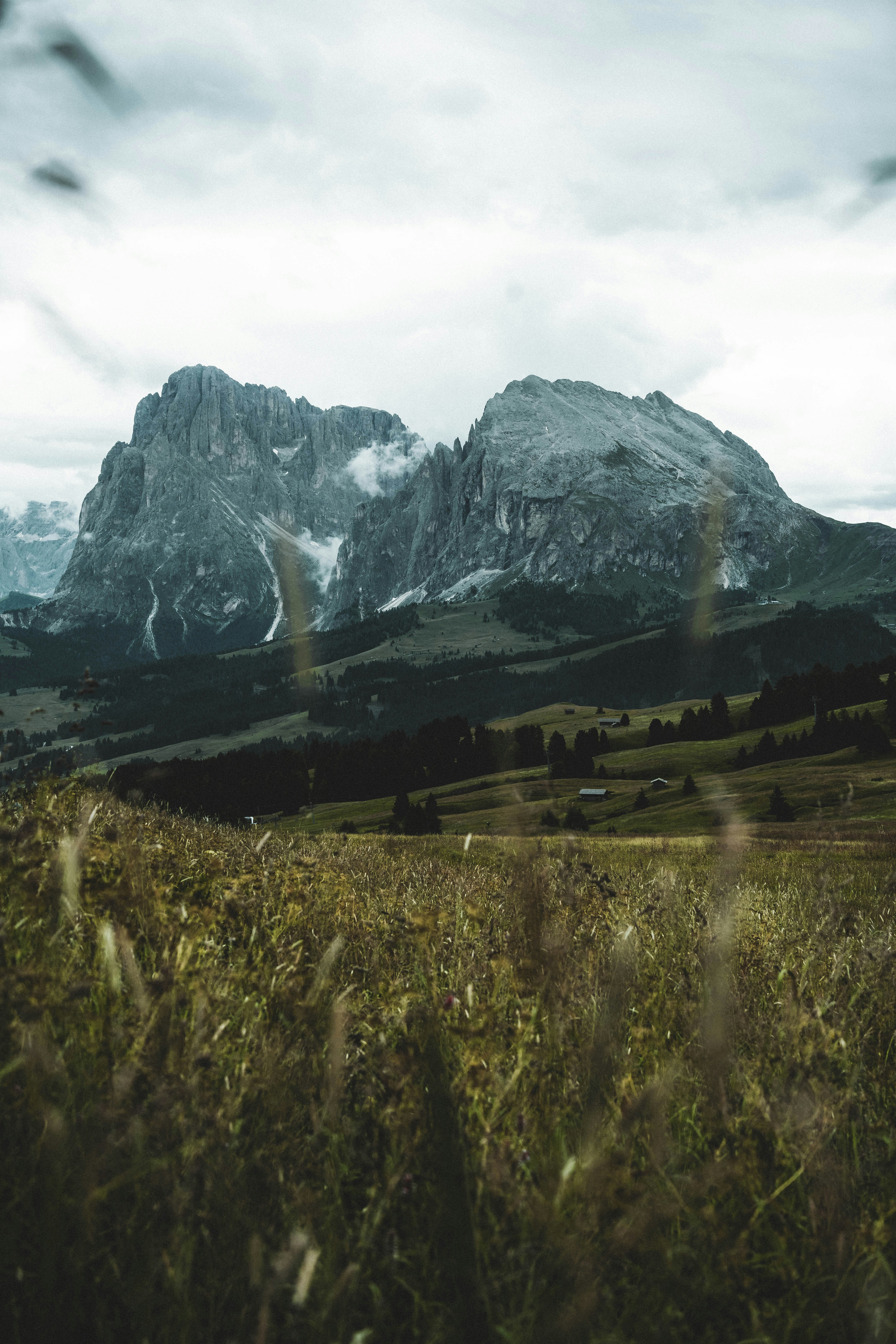 Photo by jonasdegener