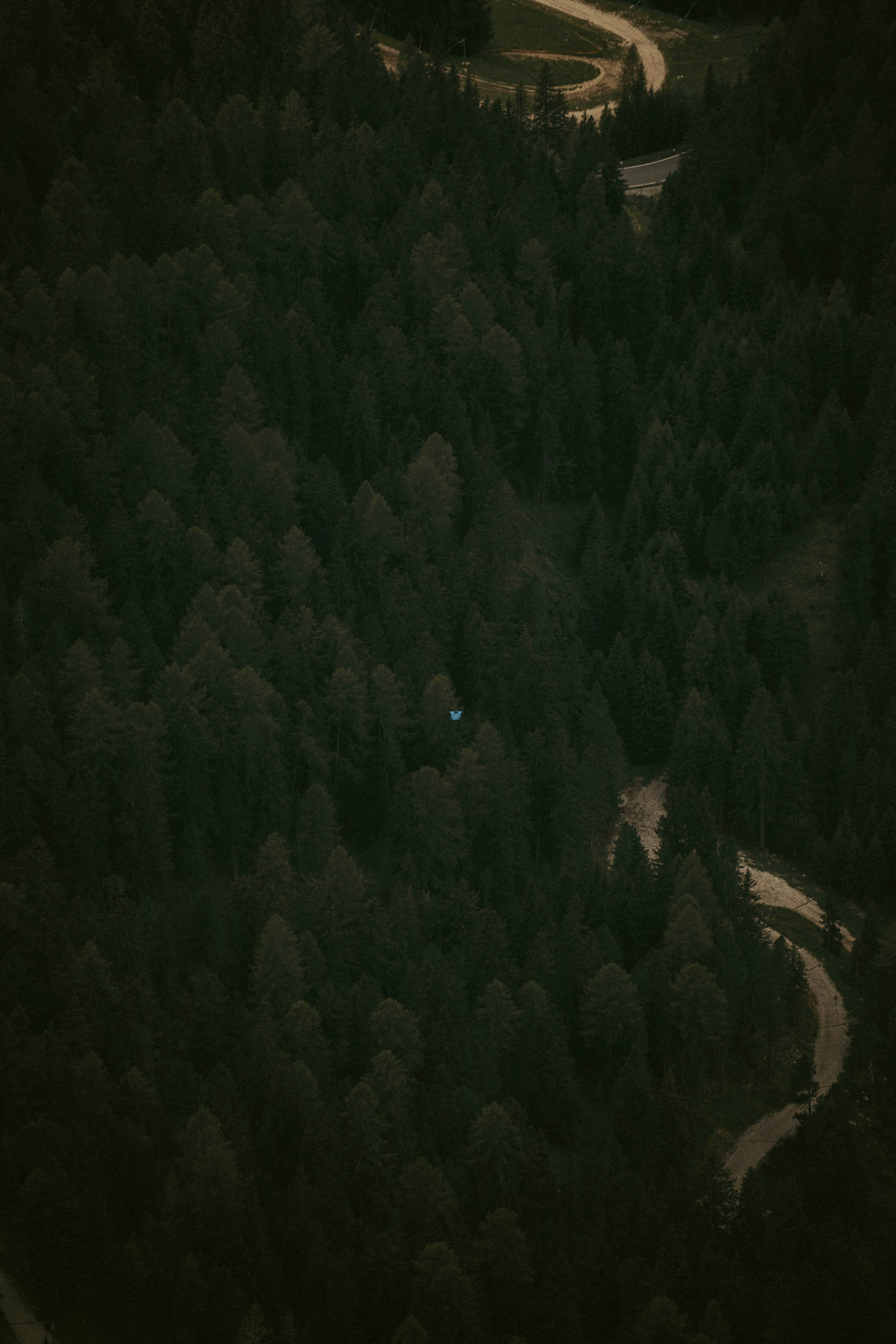 Photo by jonasdegener