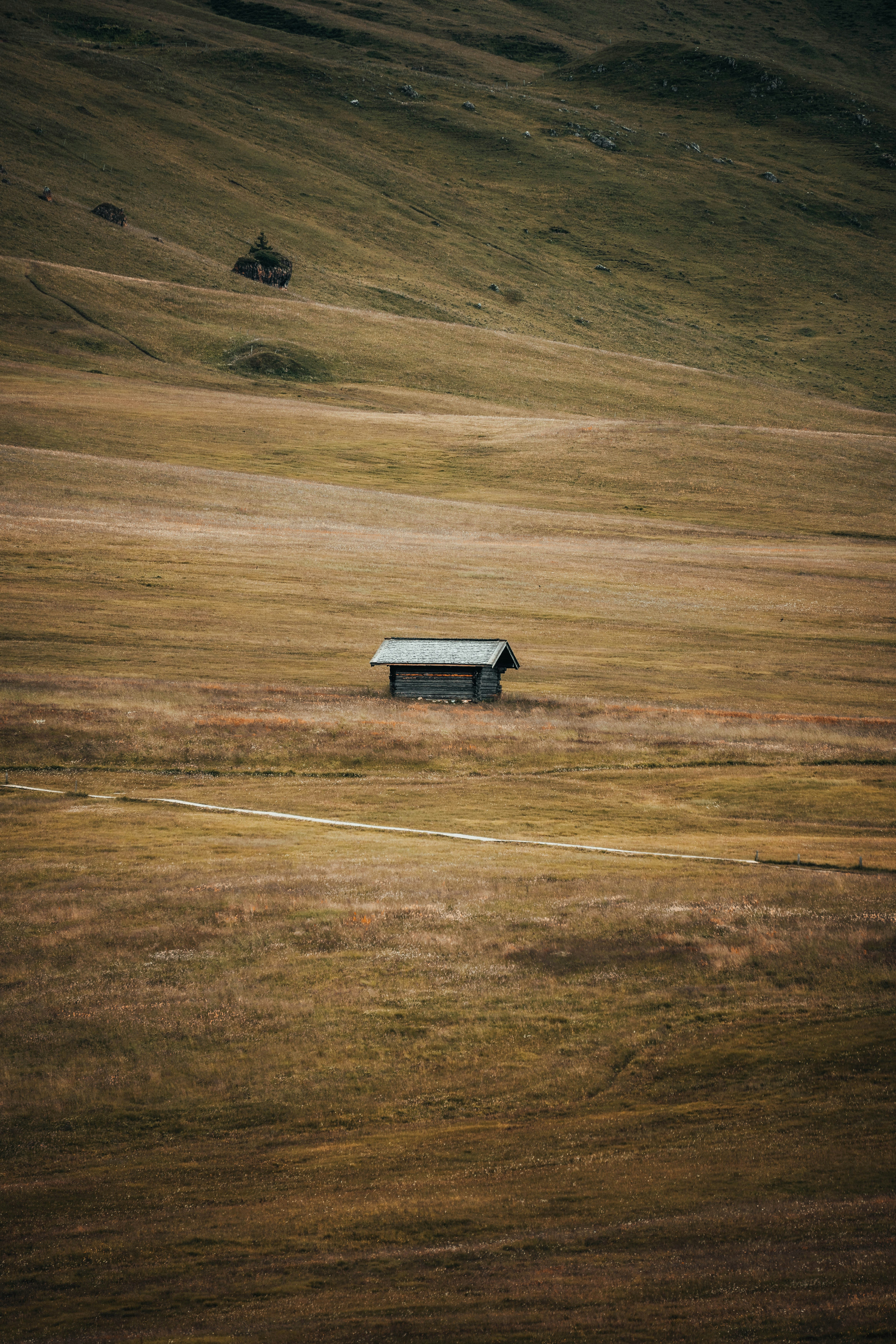 Photo by jonasdegener