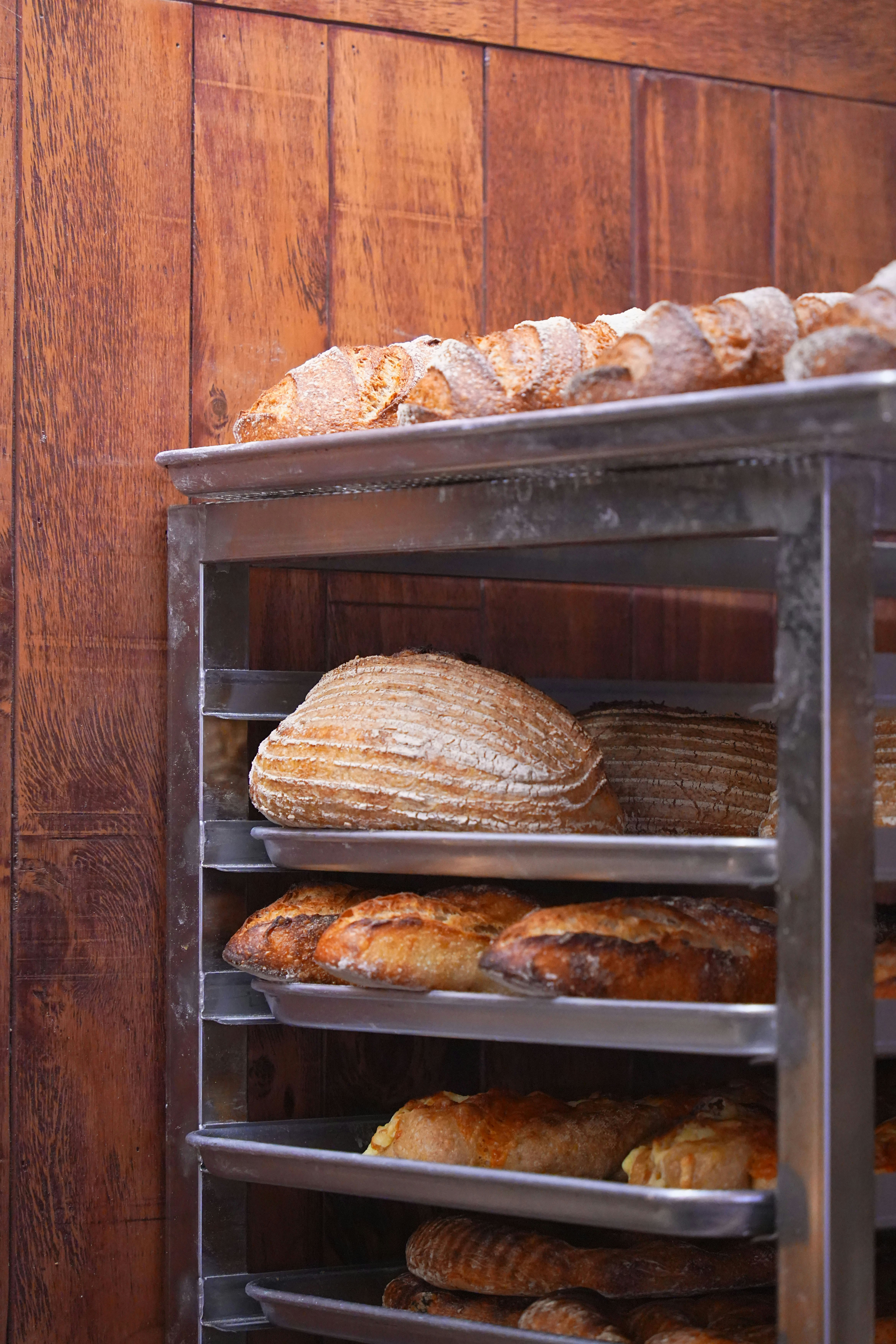 2025 코코리코 빵집