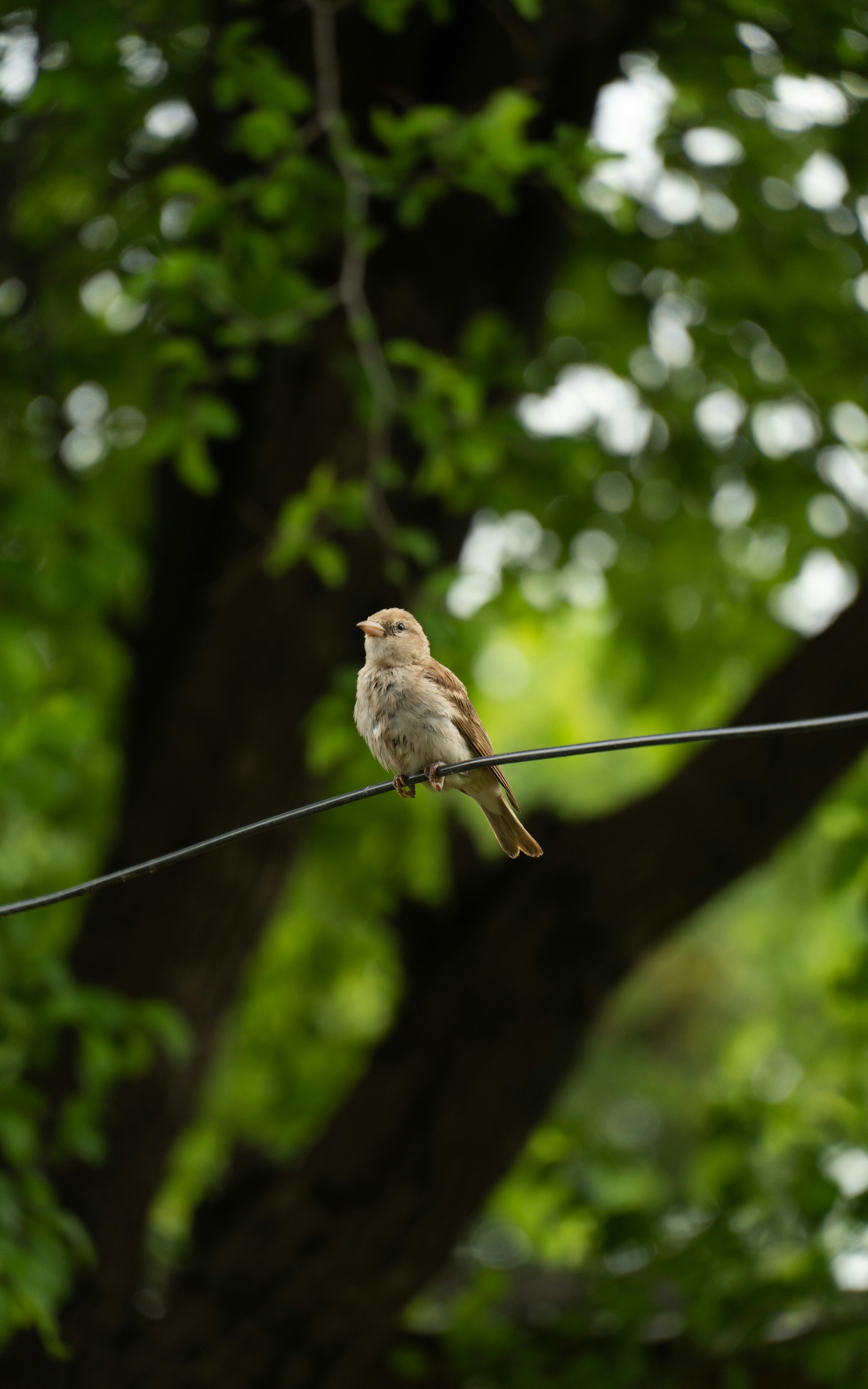 Photo by jatinsinger_2003