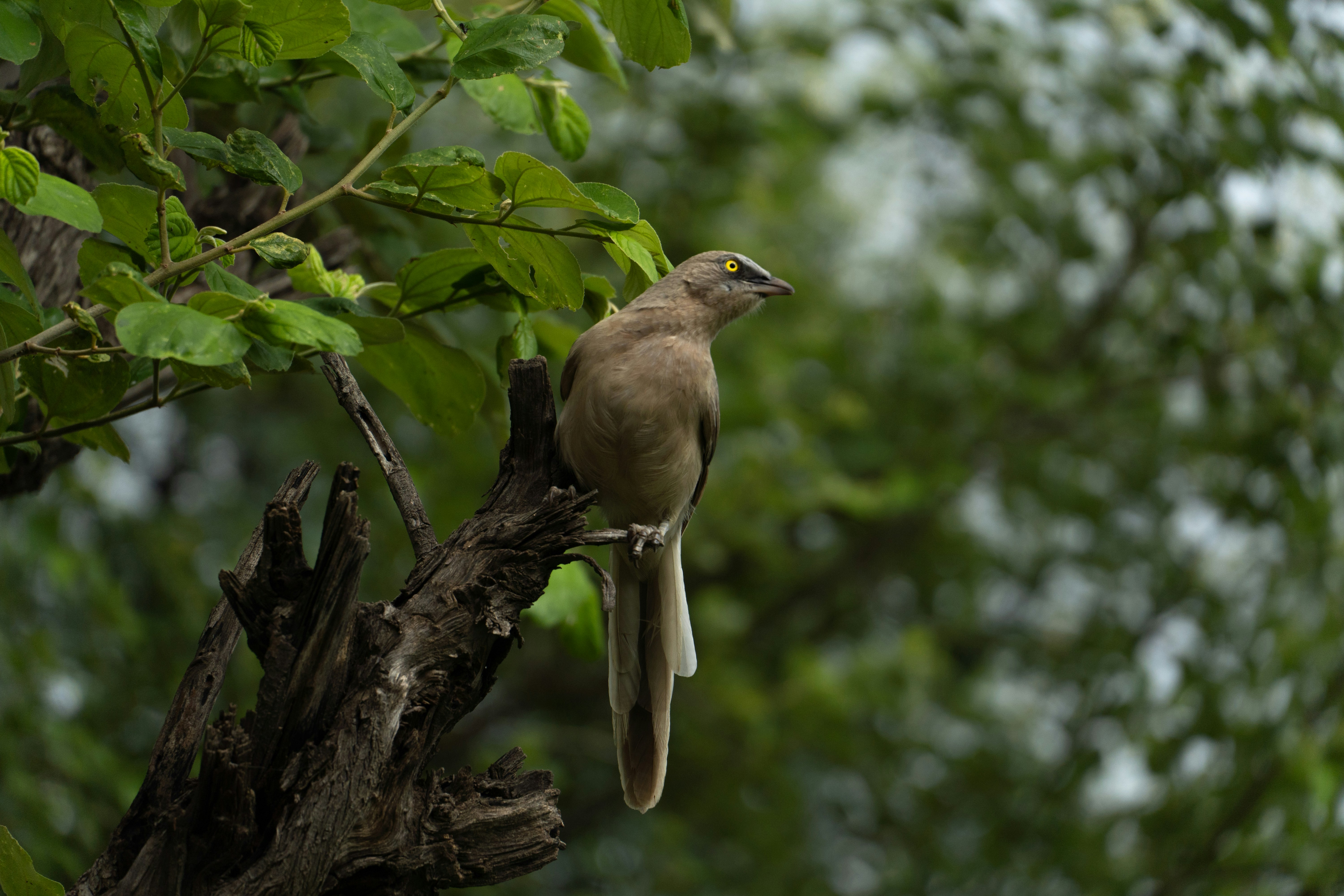 Photo by jatinsinger_2003