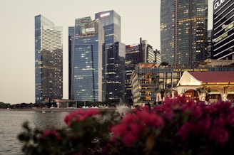 Skyscrapers and flowers create a beautiful cityscape.