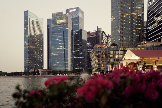 Skyscrapers and flowers create a beautiful cityscape.