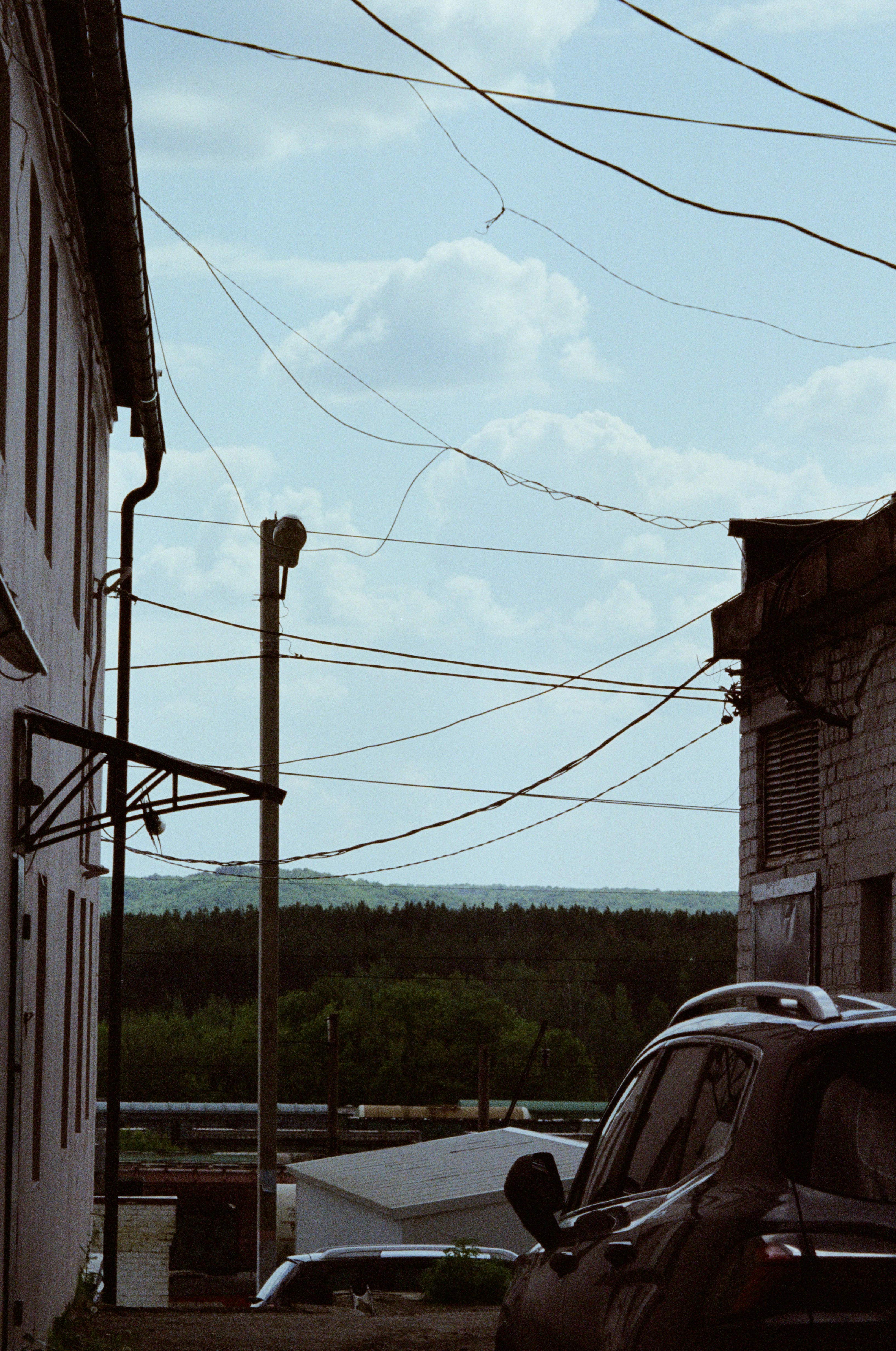 Shot on Canon EOS 300v with 800ISO film
